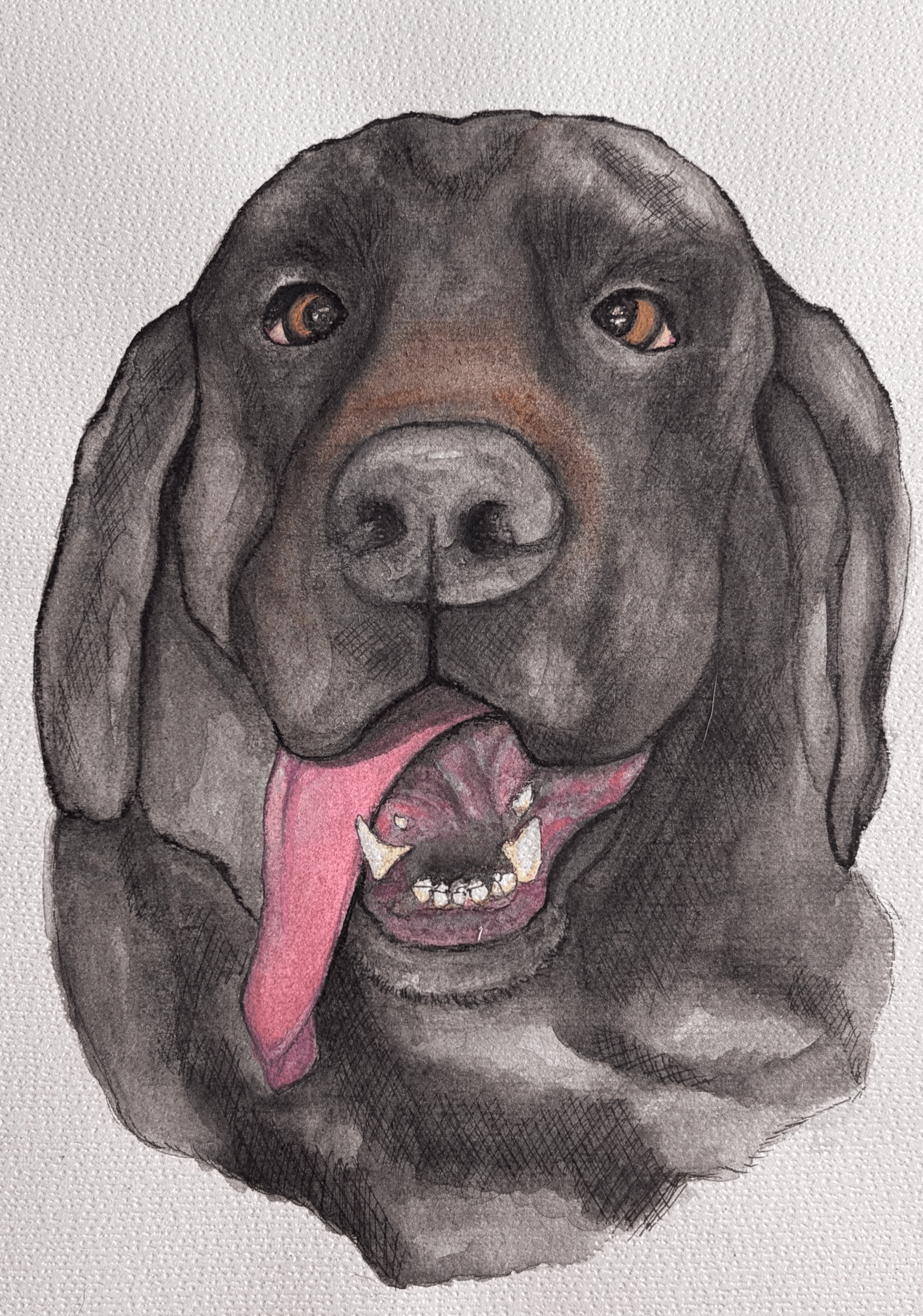 Watercolor Pet portrait