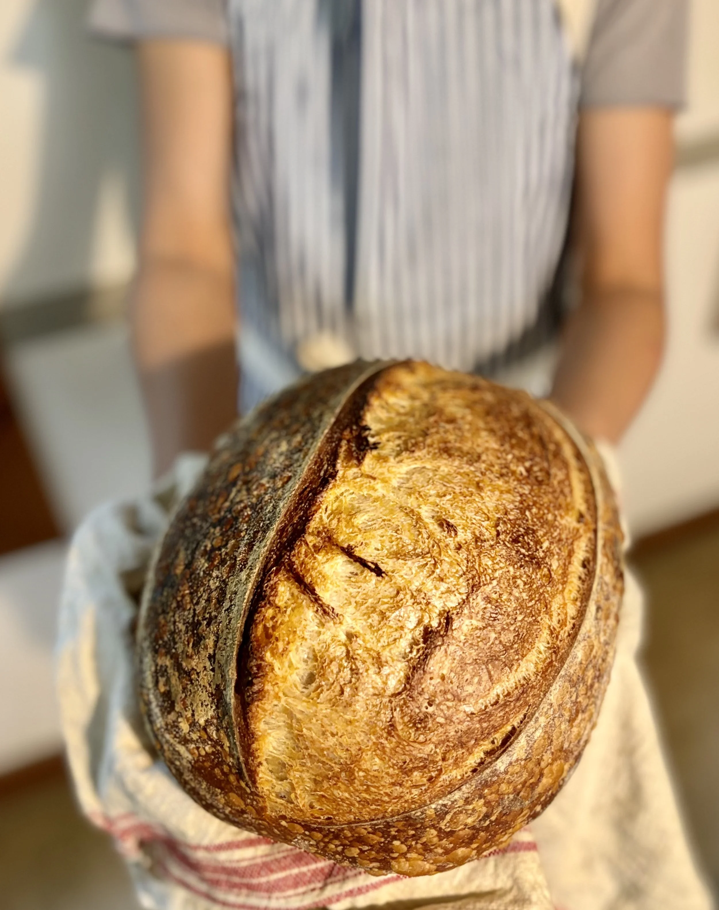 North Salem Farmers Market 