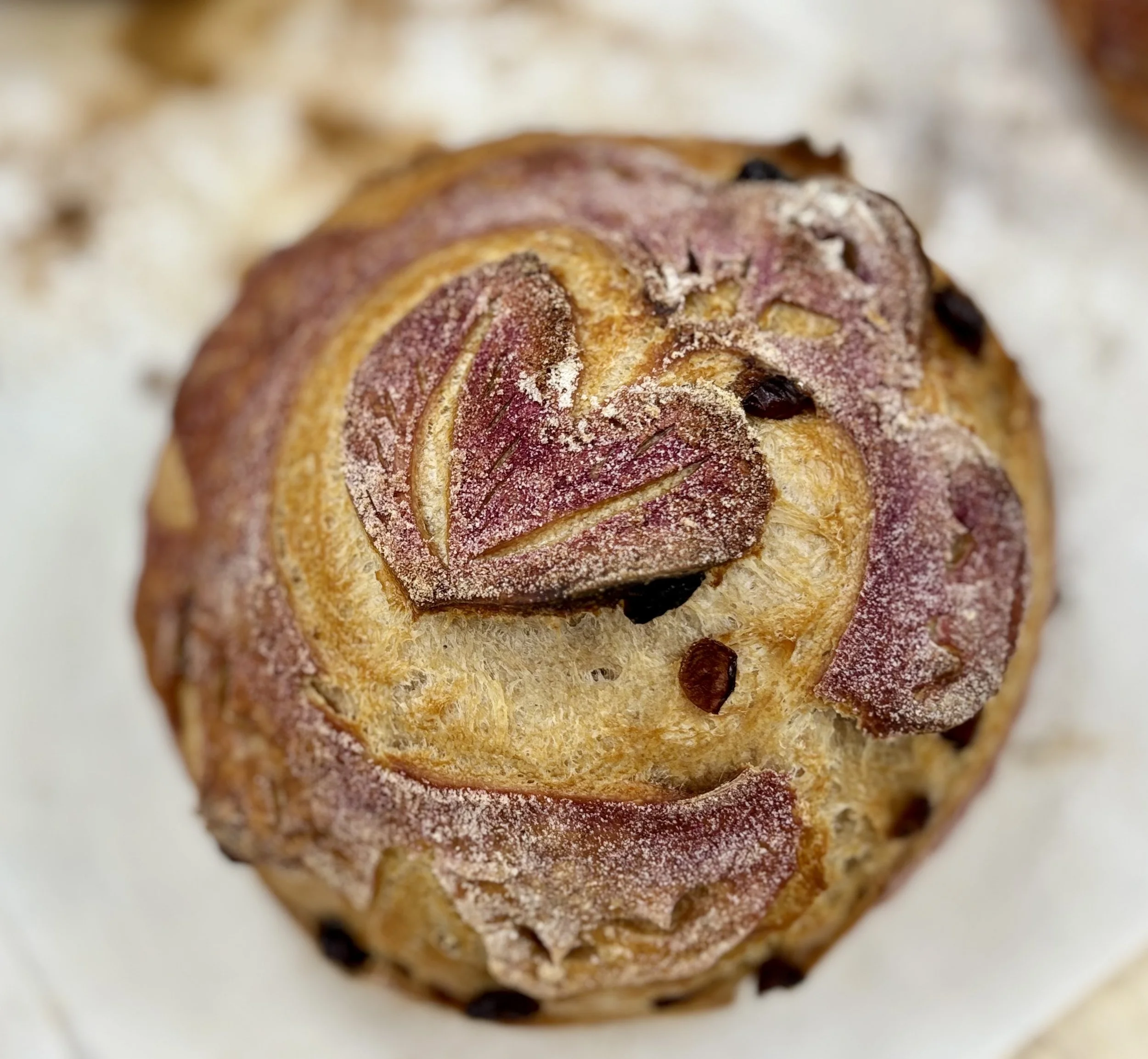 Tarrytown &amp; Sleepy Hollow Farmers Market - The TaSH