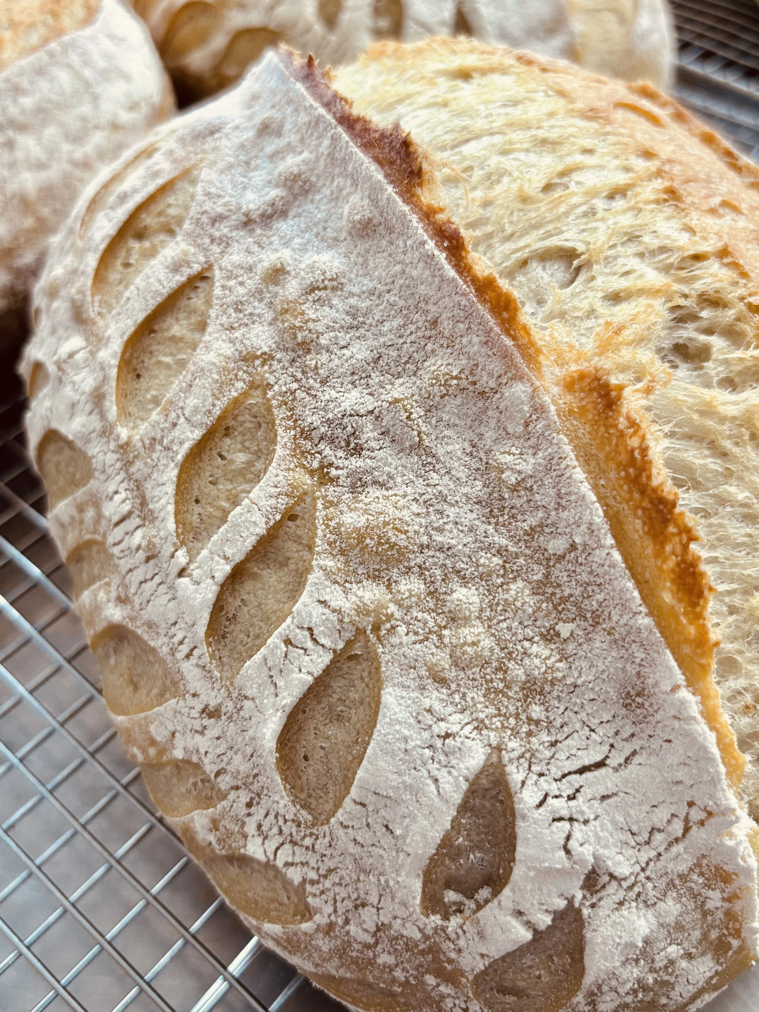 Everyday Close Up.jpg