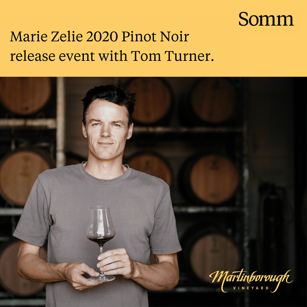 Martinborough Vineyard winemaker Tom Turner holding a glass of red wine inside a wine cellar with wooden barrels in the background. Marie Zelie Pinot Noir 2020 Launch Event at Somm Cellar Door.
