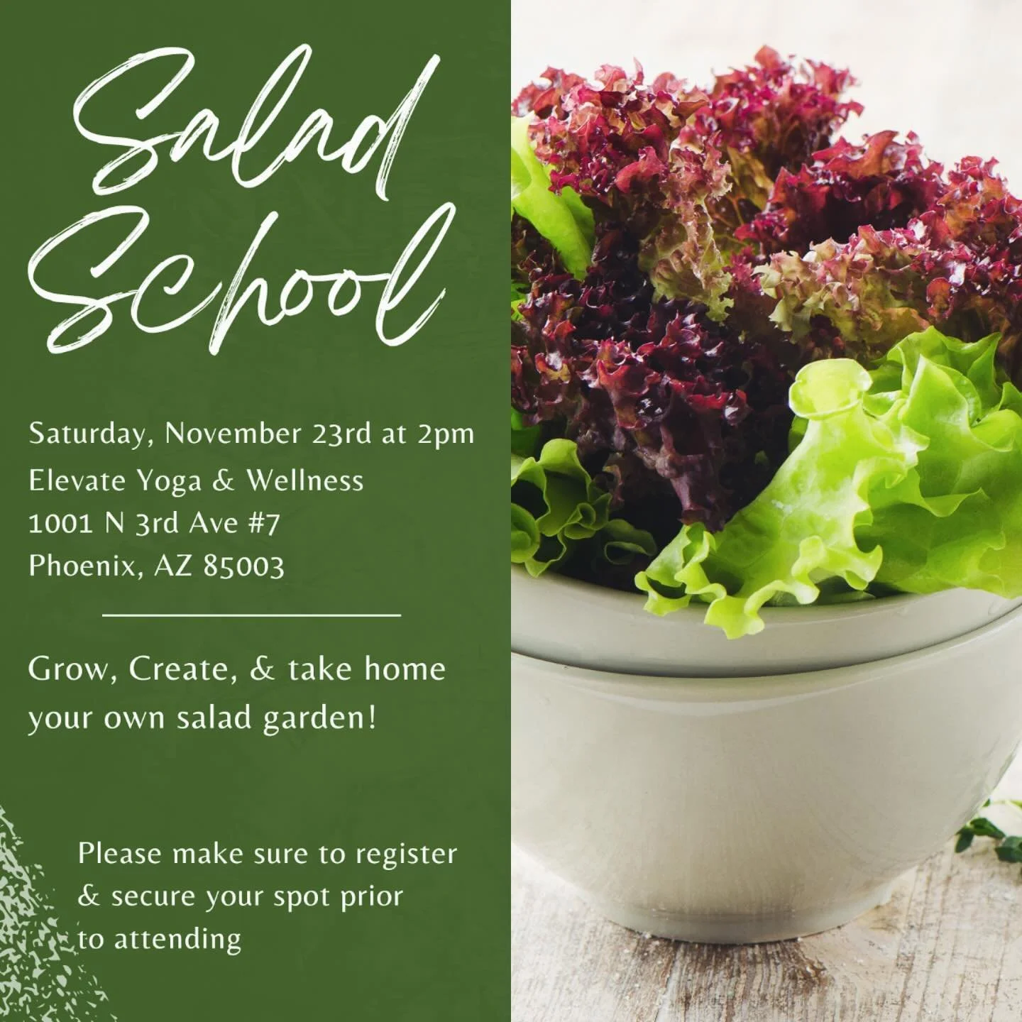 Did you know that you can easily grow lettuce, spinach, and other leafy greens in a simple window planter box? Lettuce, in particular, is incredibly easy to grow and requires minimal care. #saladschool #gardeningclass #gardenworkshop #growyourownfood