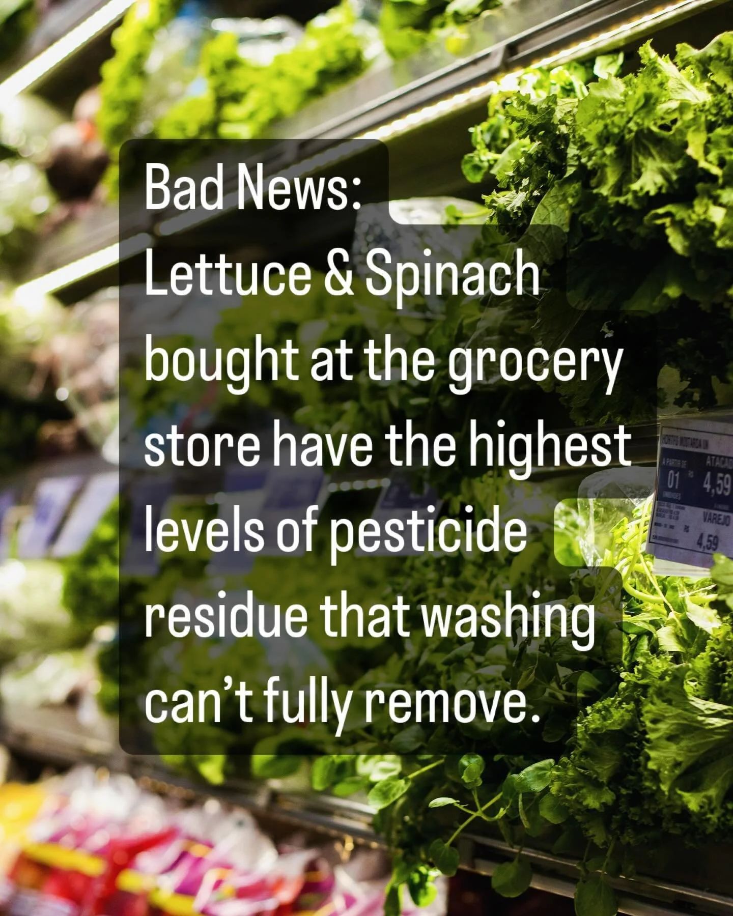 Did you know that spinach loses up to 90% of its nutrients 24 hours after harvest if it&rsquo;s not stored properly. When you consider the risk of E.Coli &amp; Salmonella, having your own leafy 🥬 green garden is an easy and rewarding solution. #grow