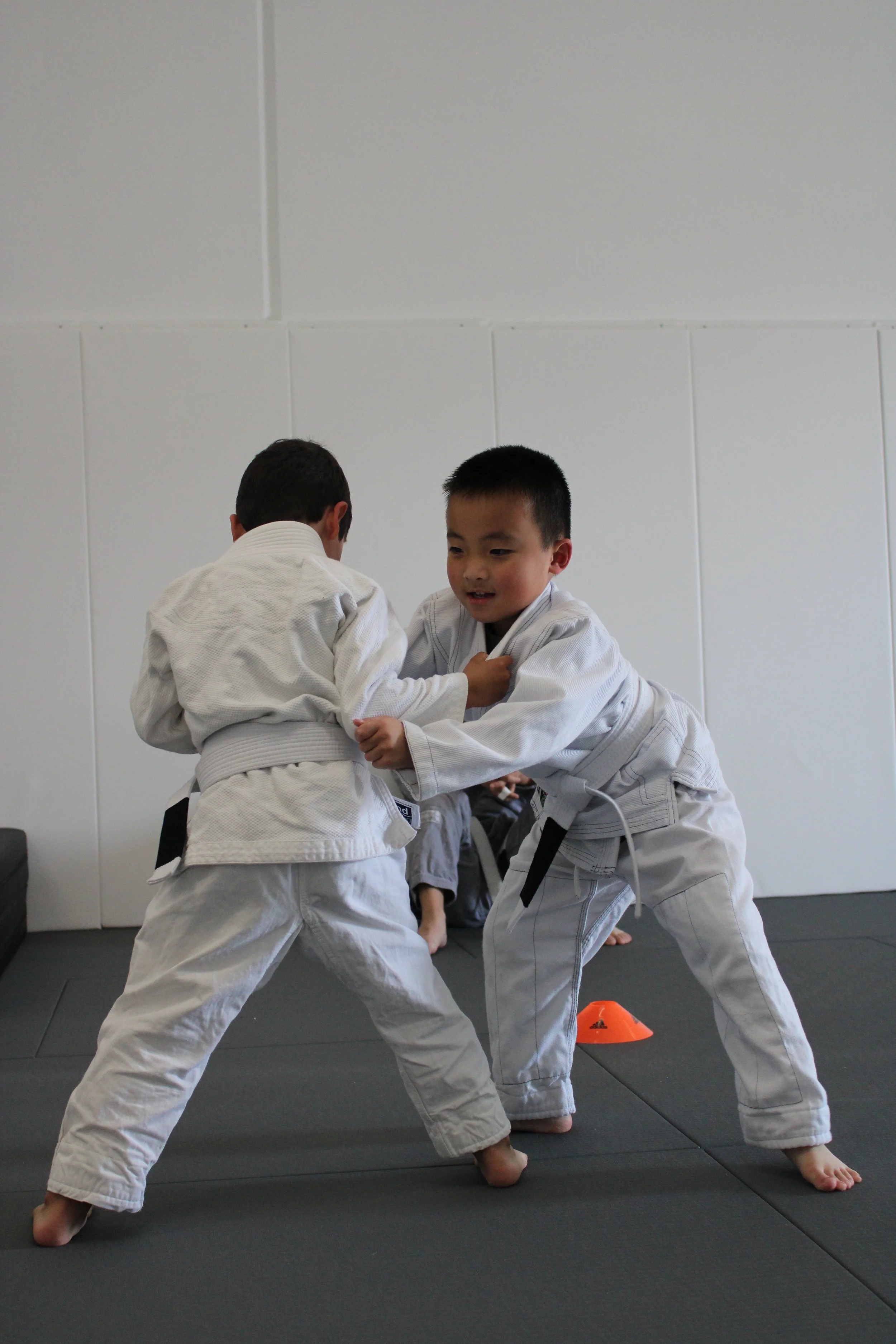 Cai Jiujitsu Academy Inc., Brazilian JiuJitsu techniques, BJJ classes