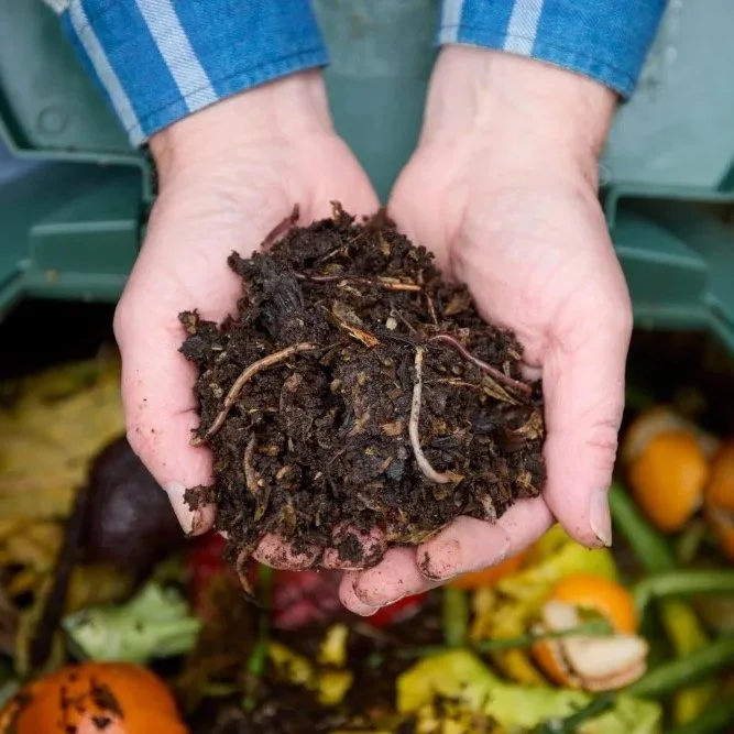 COMPOSTING BASICS - HOME vs. COMMERCIAL COMPOSTING