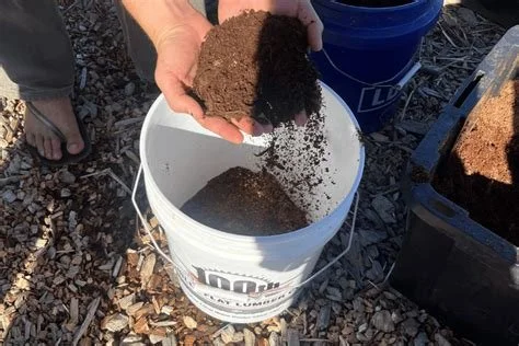 5 of our Favorite Benefits of Composting