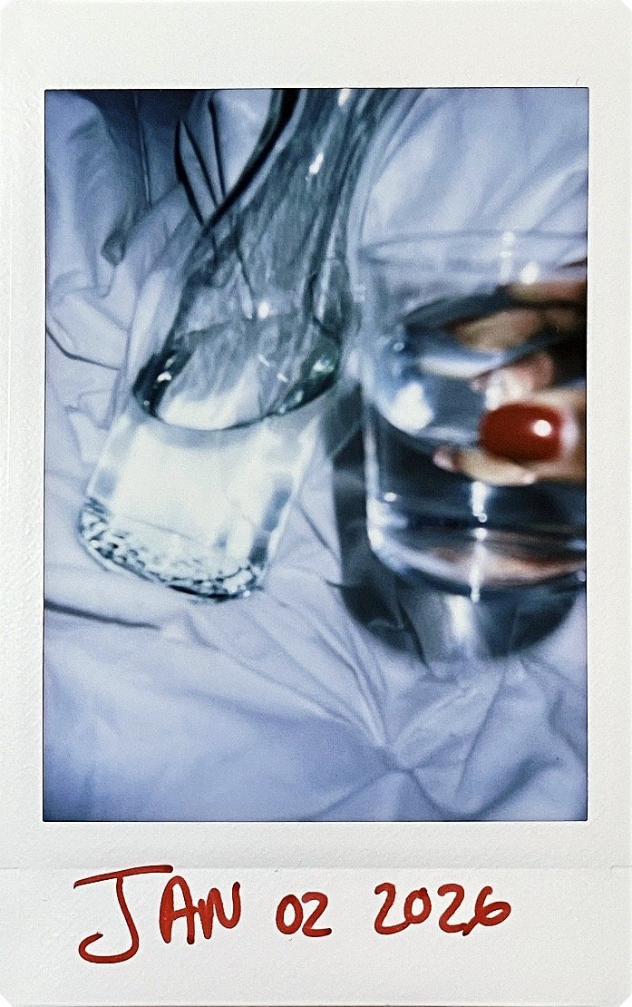 Traces of a Year (2026)— January