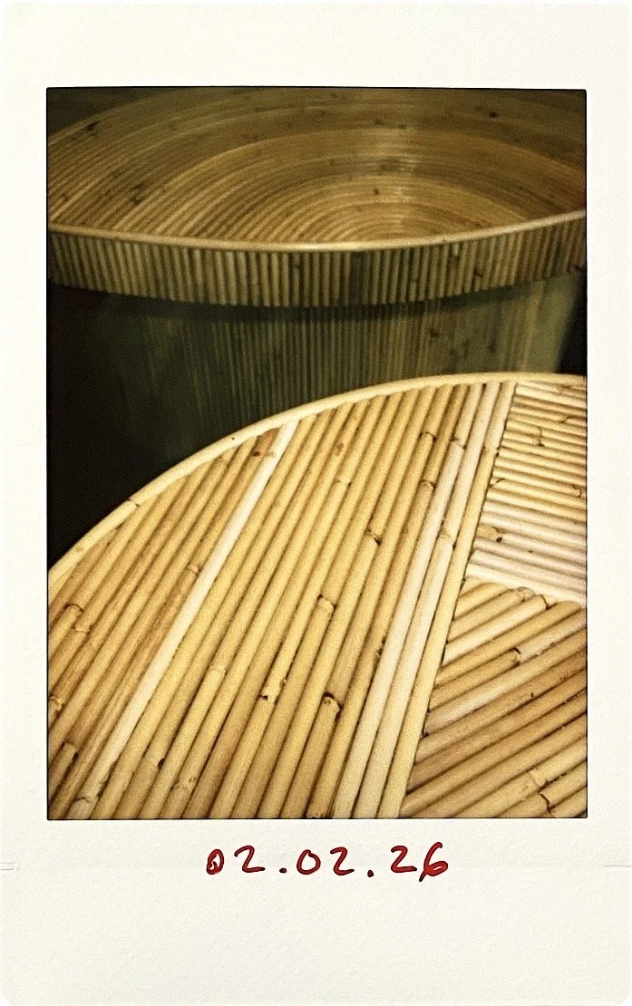 Traces of a Year (2026)— February