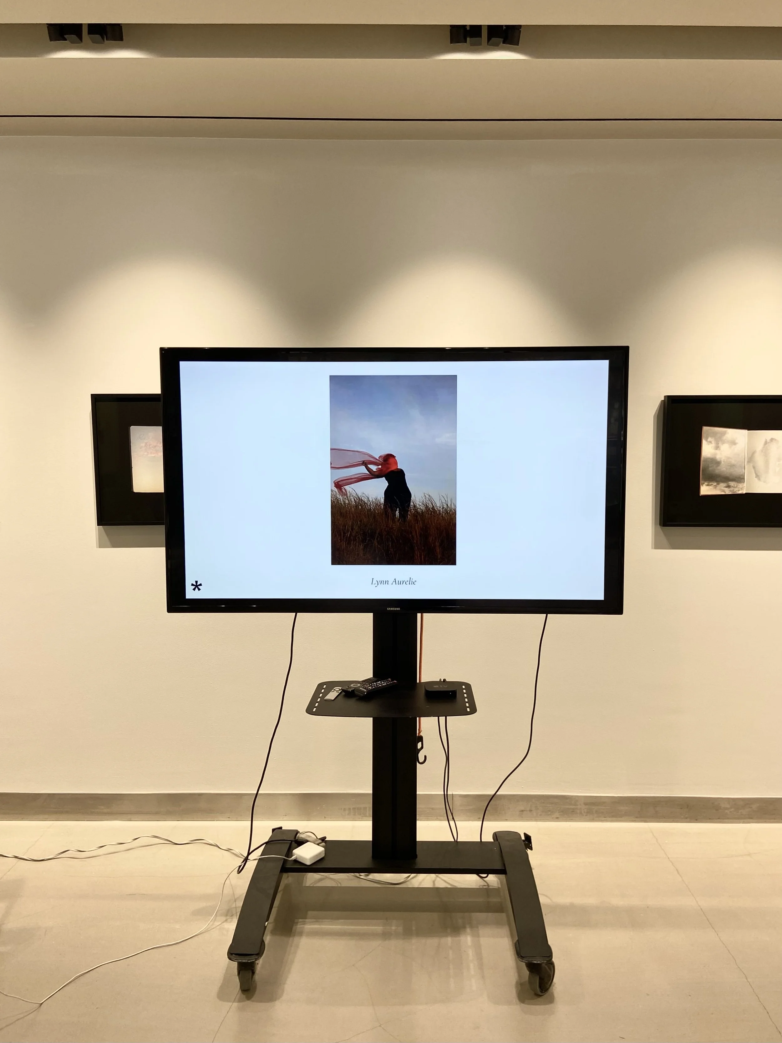 Photo Mar 08 2026, 14 48 18.jpg