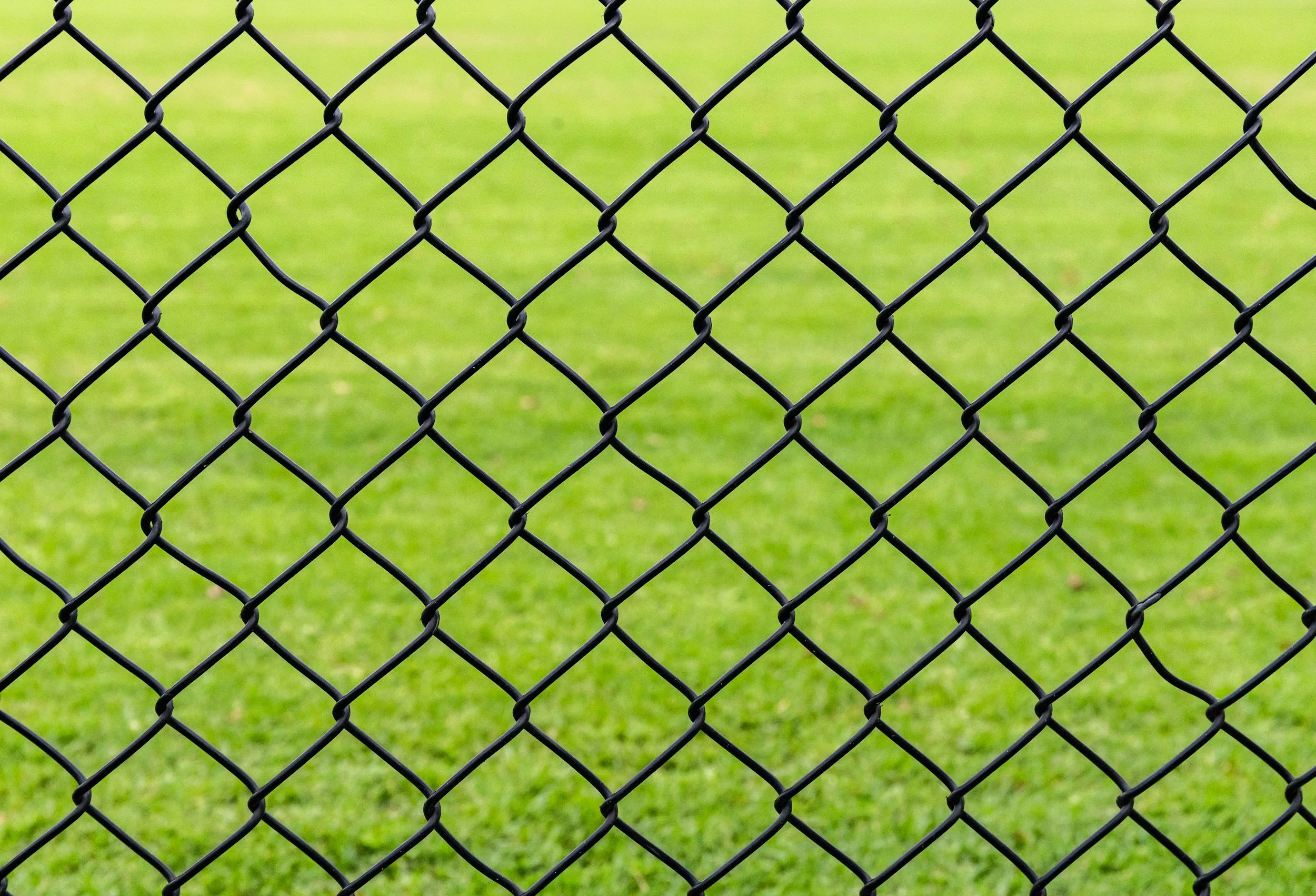 Close-up of a black chain-link fence with a green grassy field in the background.