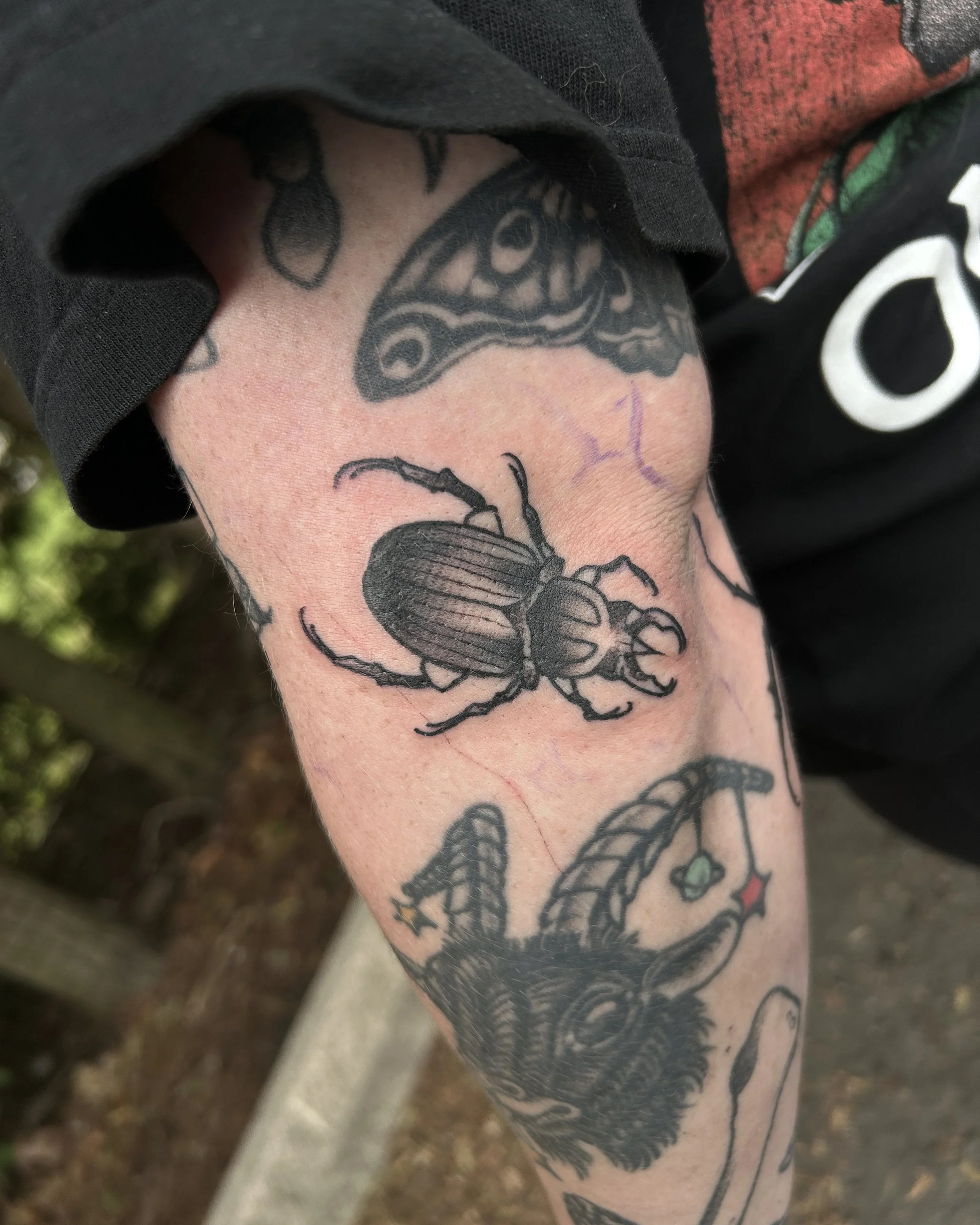black and grey neo traditional beetle by James Mattox