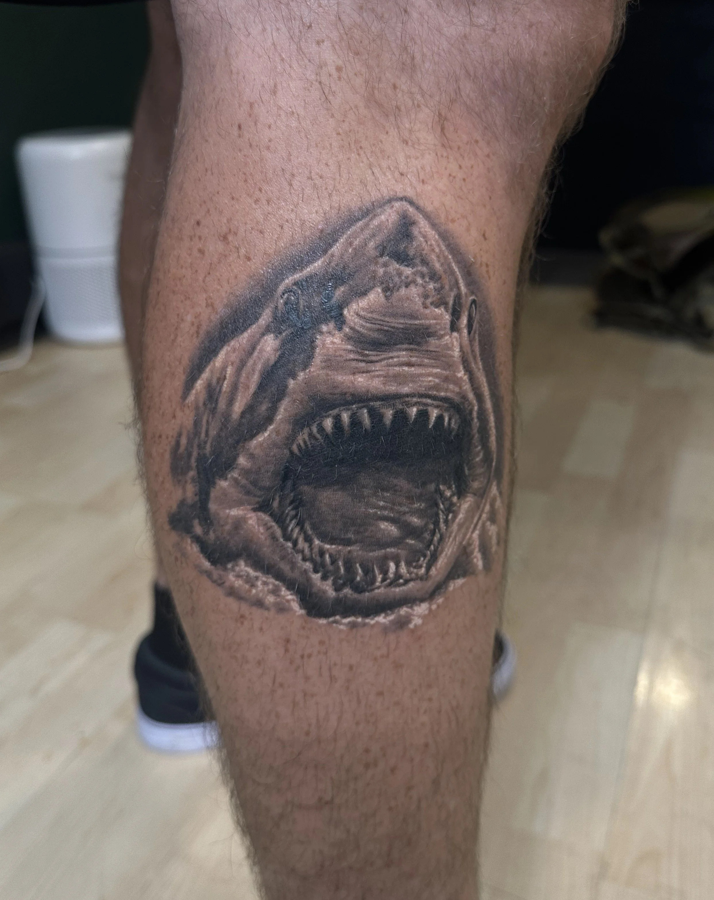 Healed black and grey shark by Jeff Beck