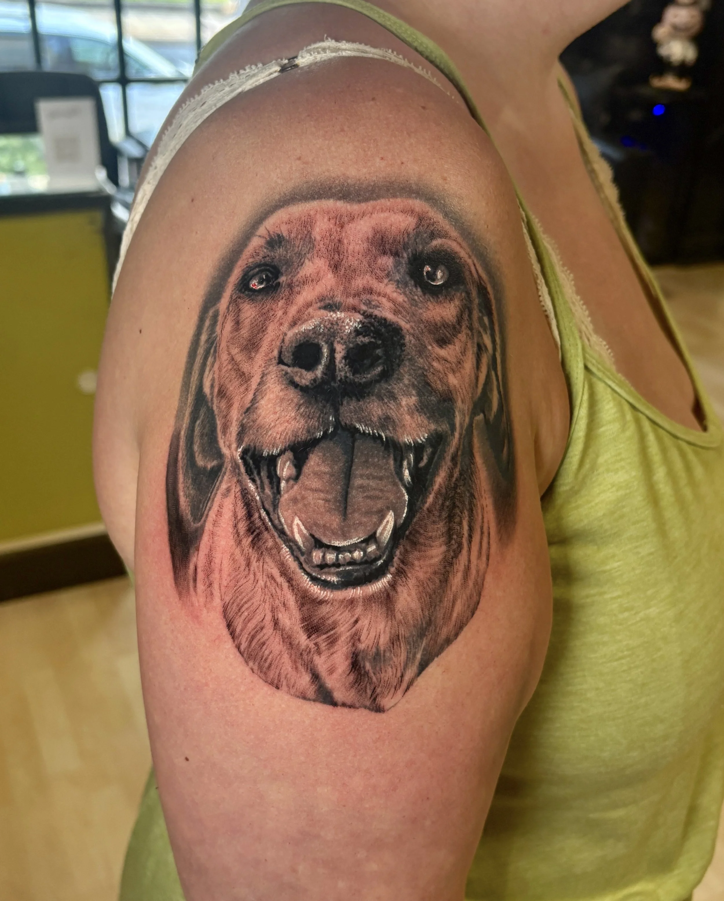 black and grey realism dog portrait by Jeff Beck