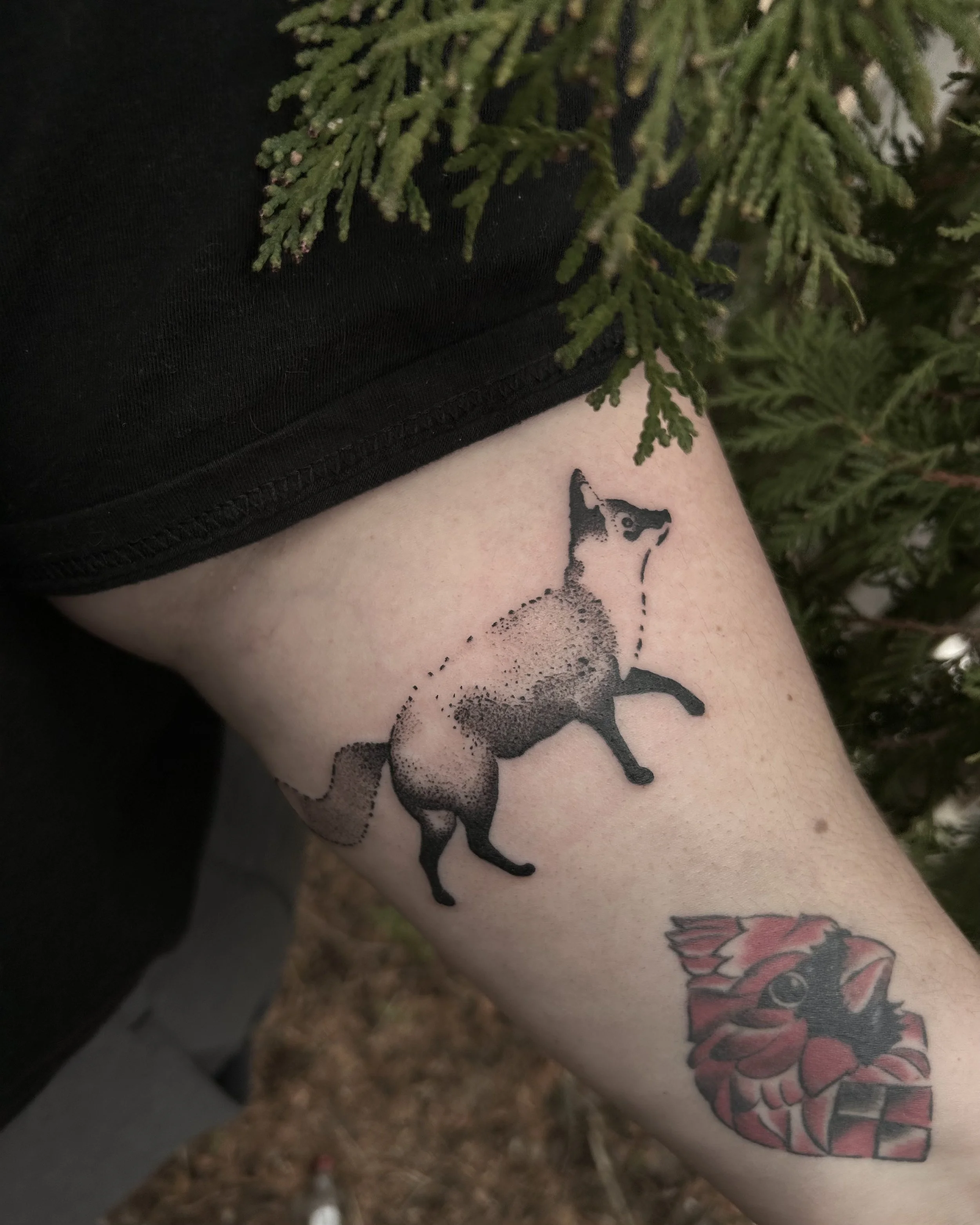 Black and grey dotwork fox tattoo by James Mattox