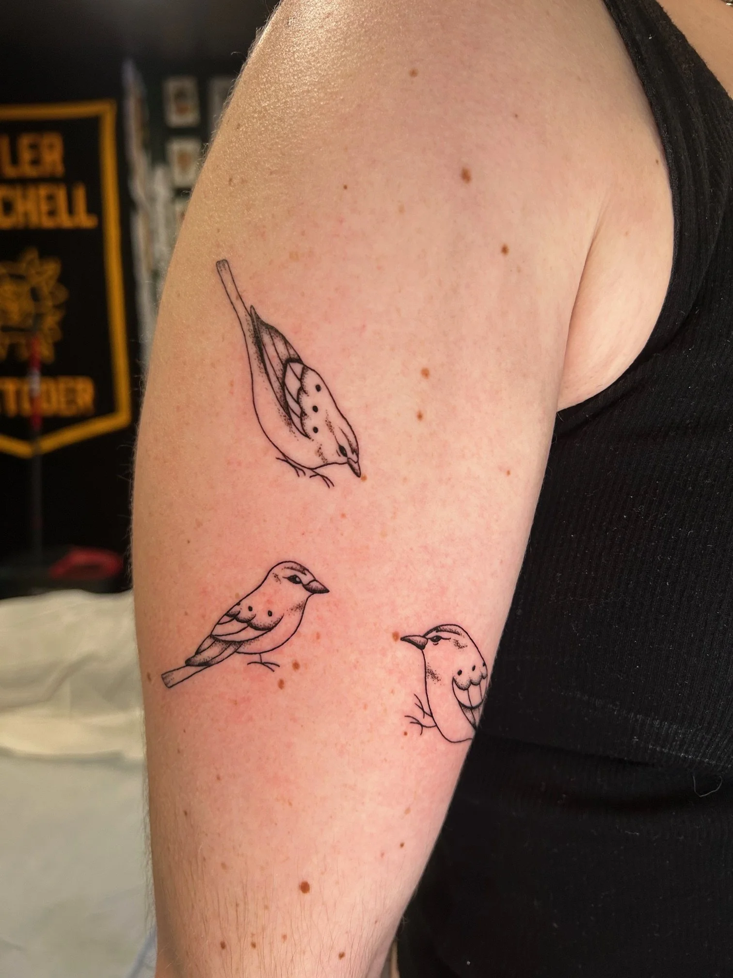 Fine line birds tattoo by Nicole Cosner