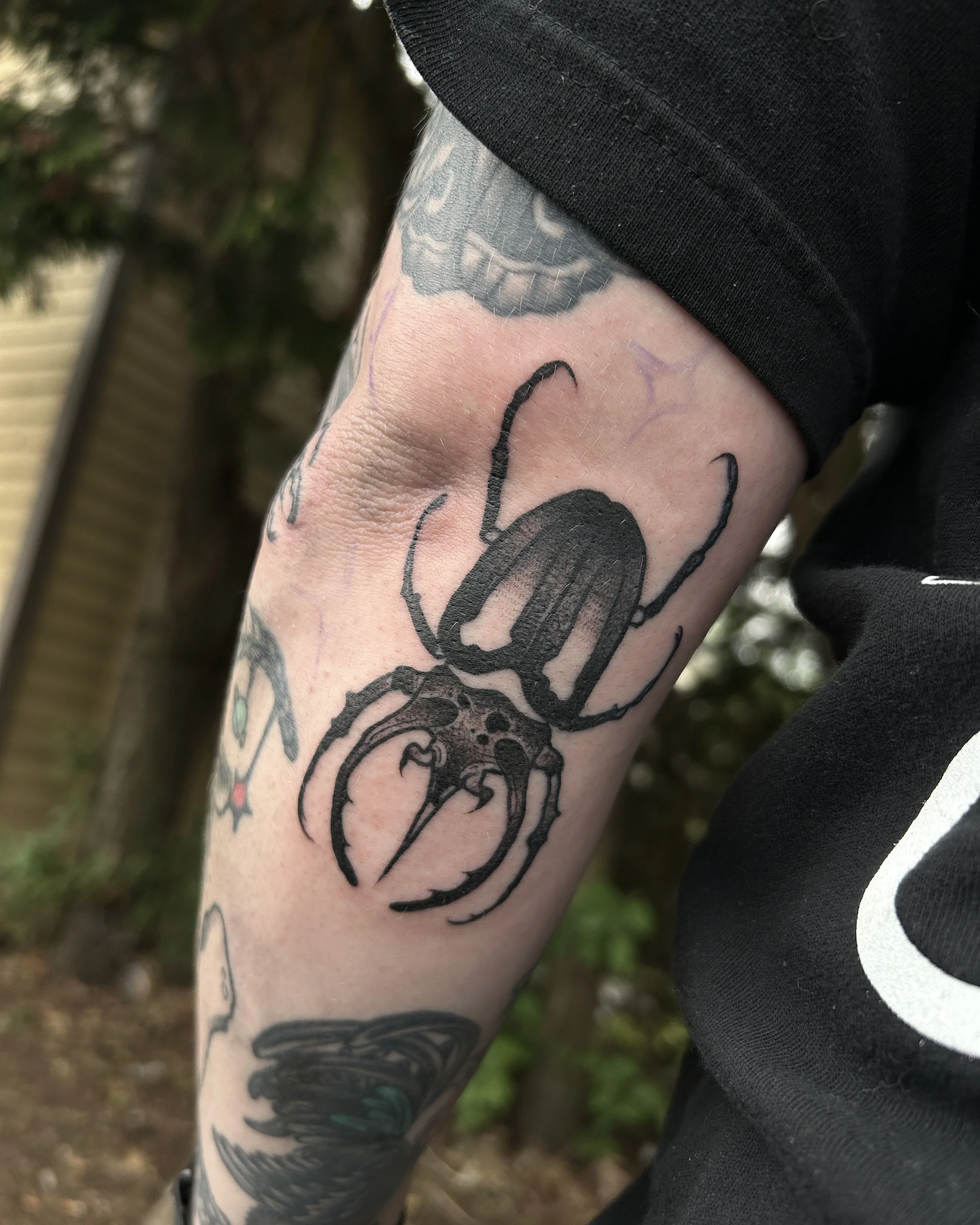 blackwork black and grey beetle tattoo by James Mattox