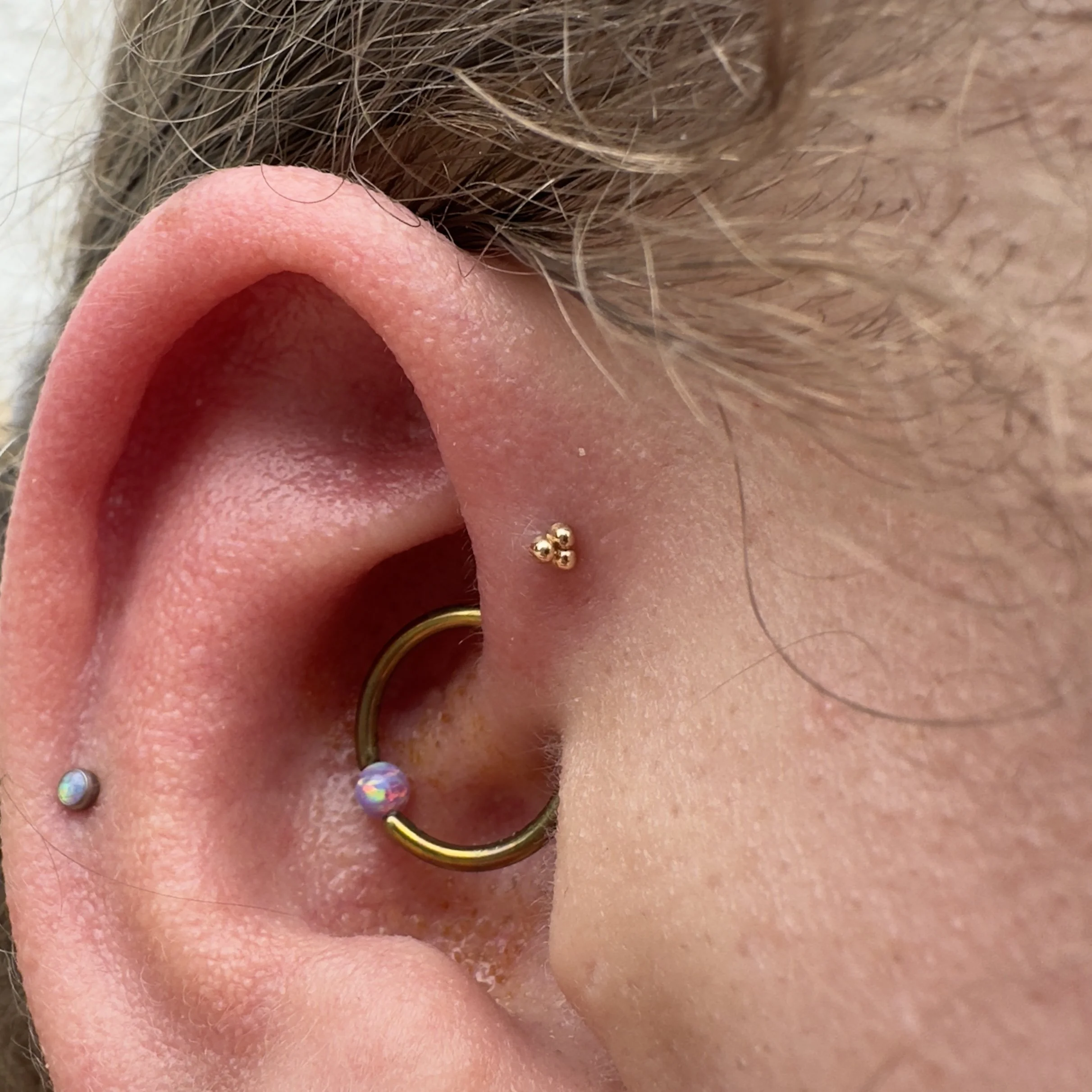forward helix and daith by Shannon Sanderson