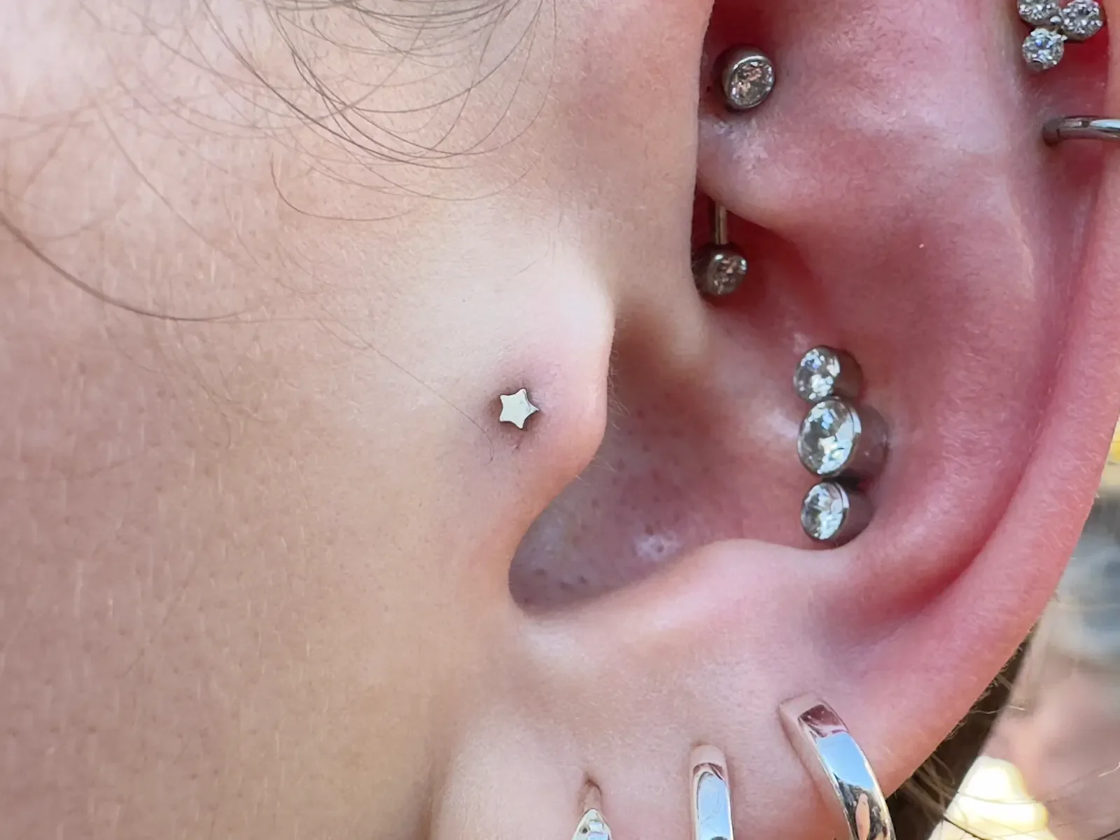 tragus and conch by Shannon Sanderson at NW Finest Tattoo Co