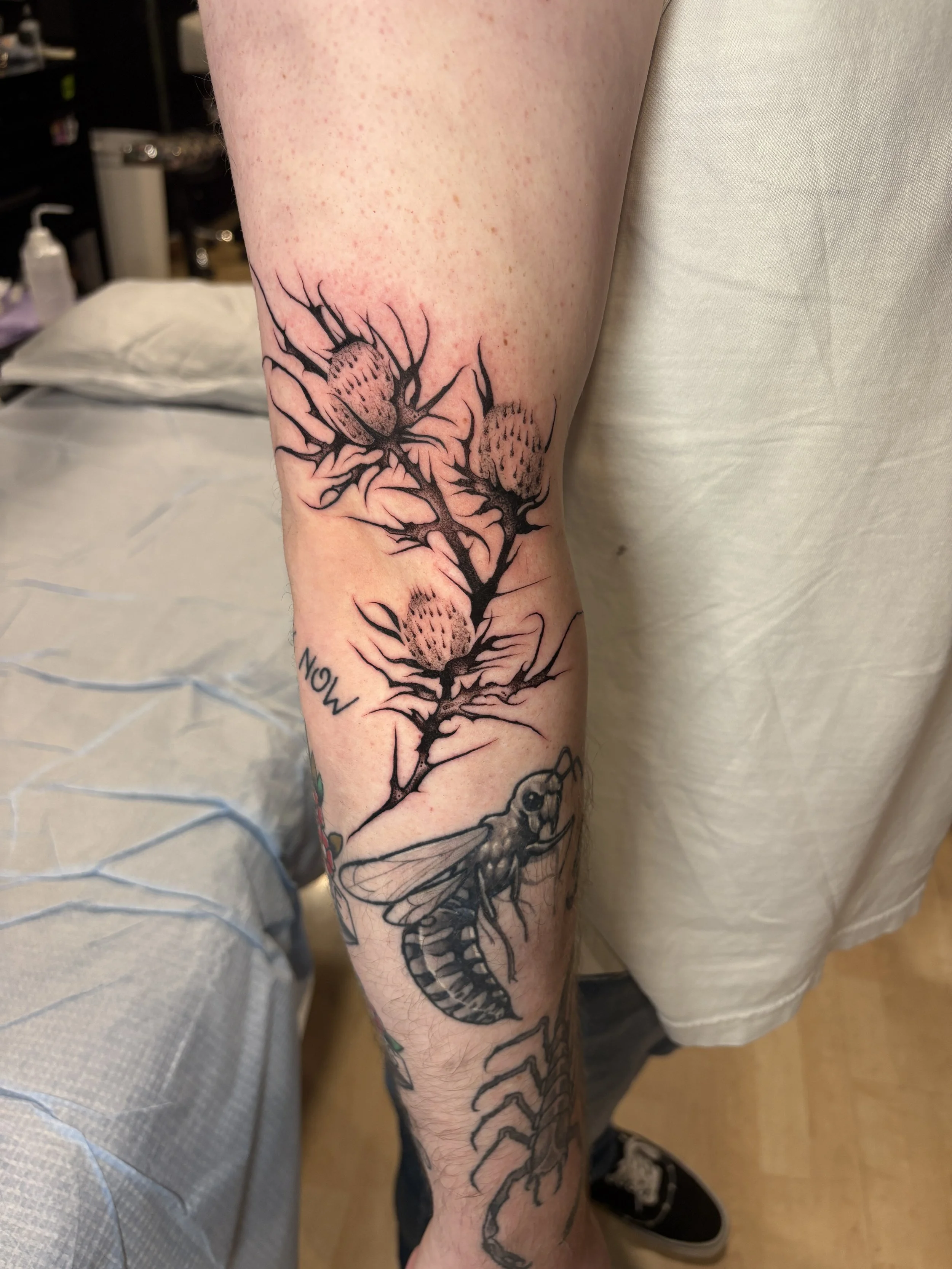black and grey thistle tattoo by James Mattox