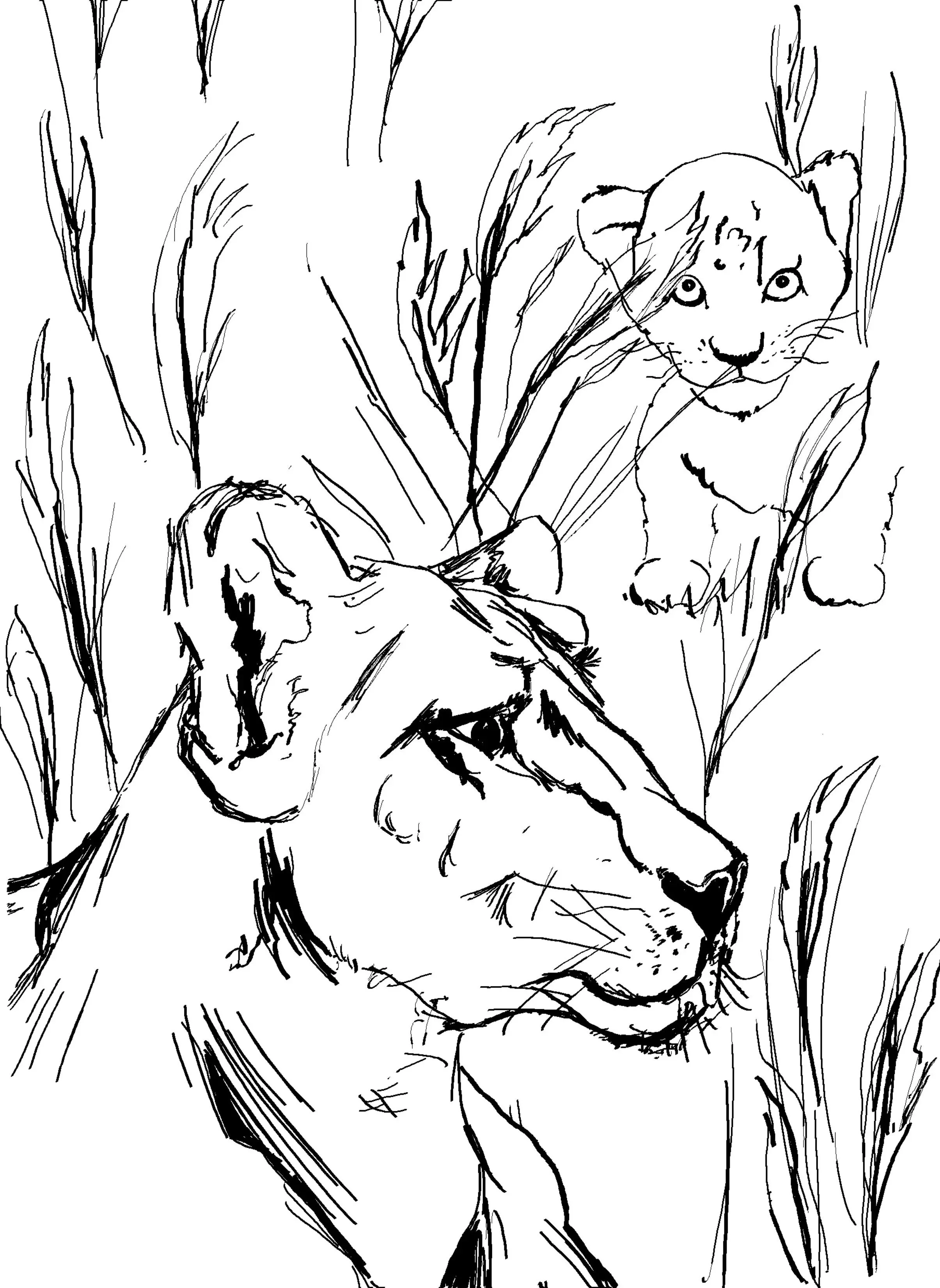 Line drawing of a lion's face surrounded by tall grass or reeds.