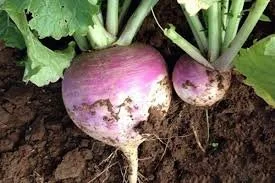 Construction site with orange background, black equipment crates or boxes, and the words "UNDER CONSTRUCTION" in bold yellow and black letters. A yellow construction helmet is placed on the letter 'N' in 'UNDER'.