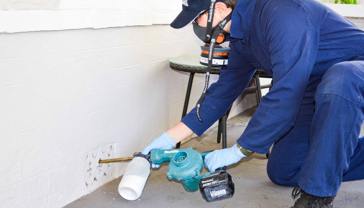 Dusting — Integrated Pest Services