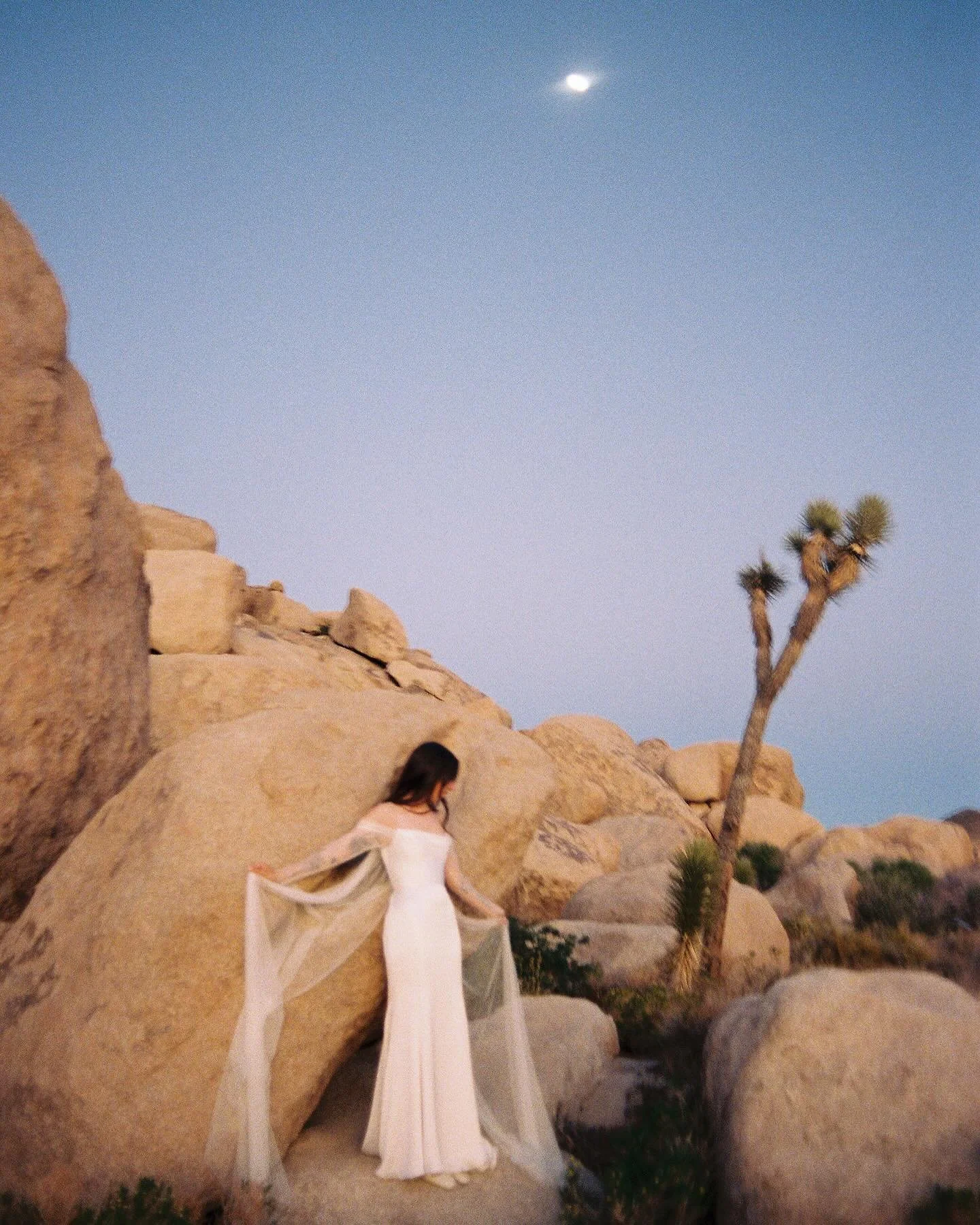 Film we took of each other alone in the park under the light of the 🌙

#albany #albanyphotographer #albanyny #photographer #troy #troyny #schenectady #saratogasprings #saratogaspringsny #troyphotographer #portrait #film #filmphotography #filmphotogr