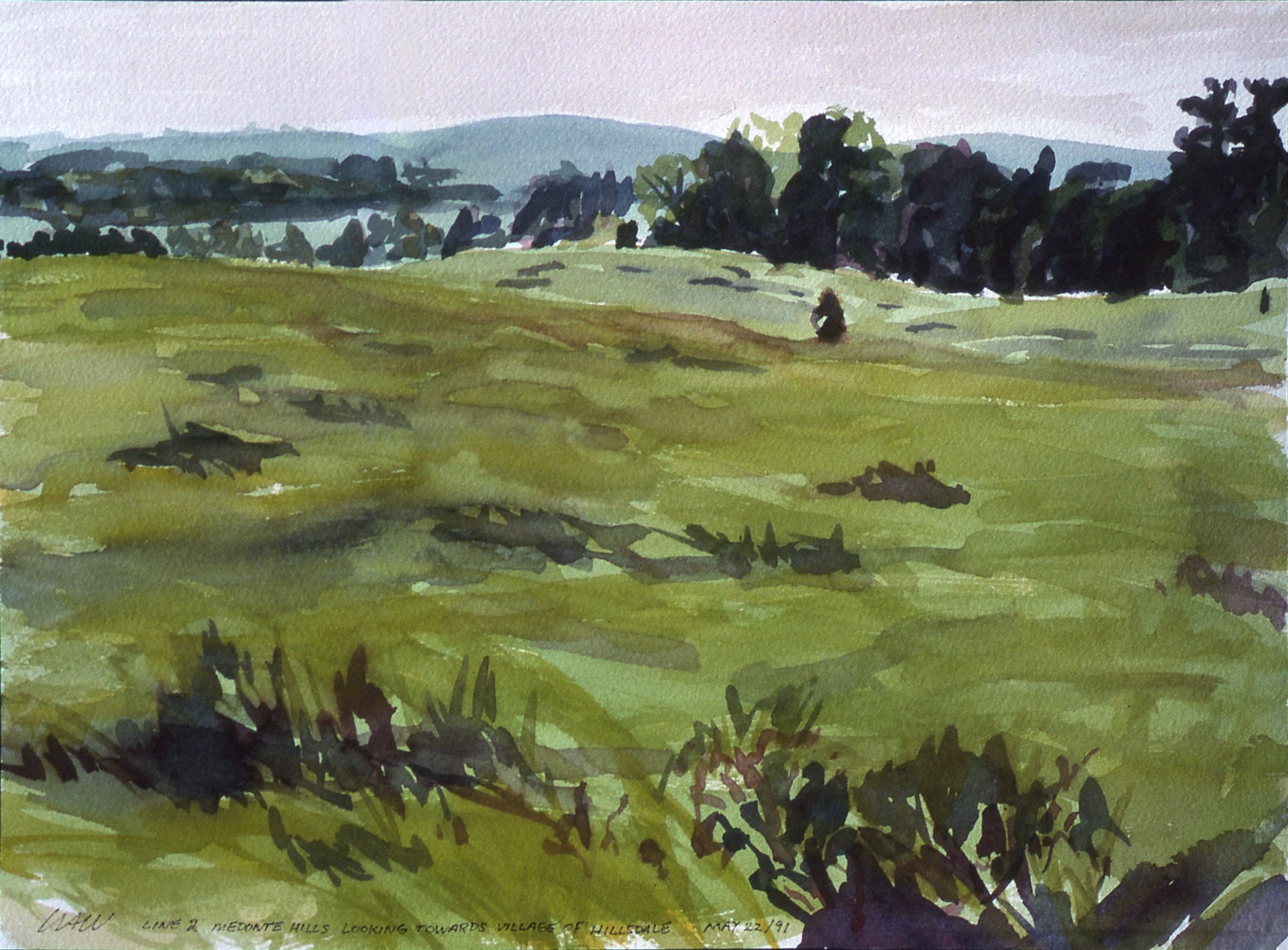 Hillsdale Field - SOLD