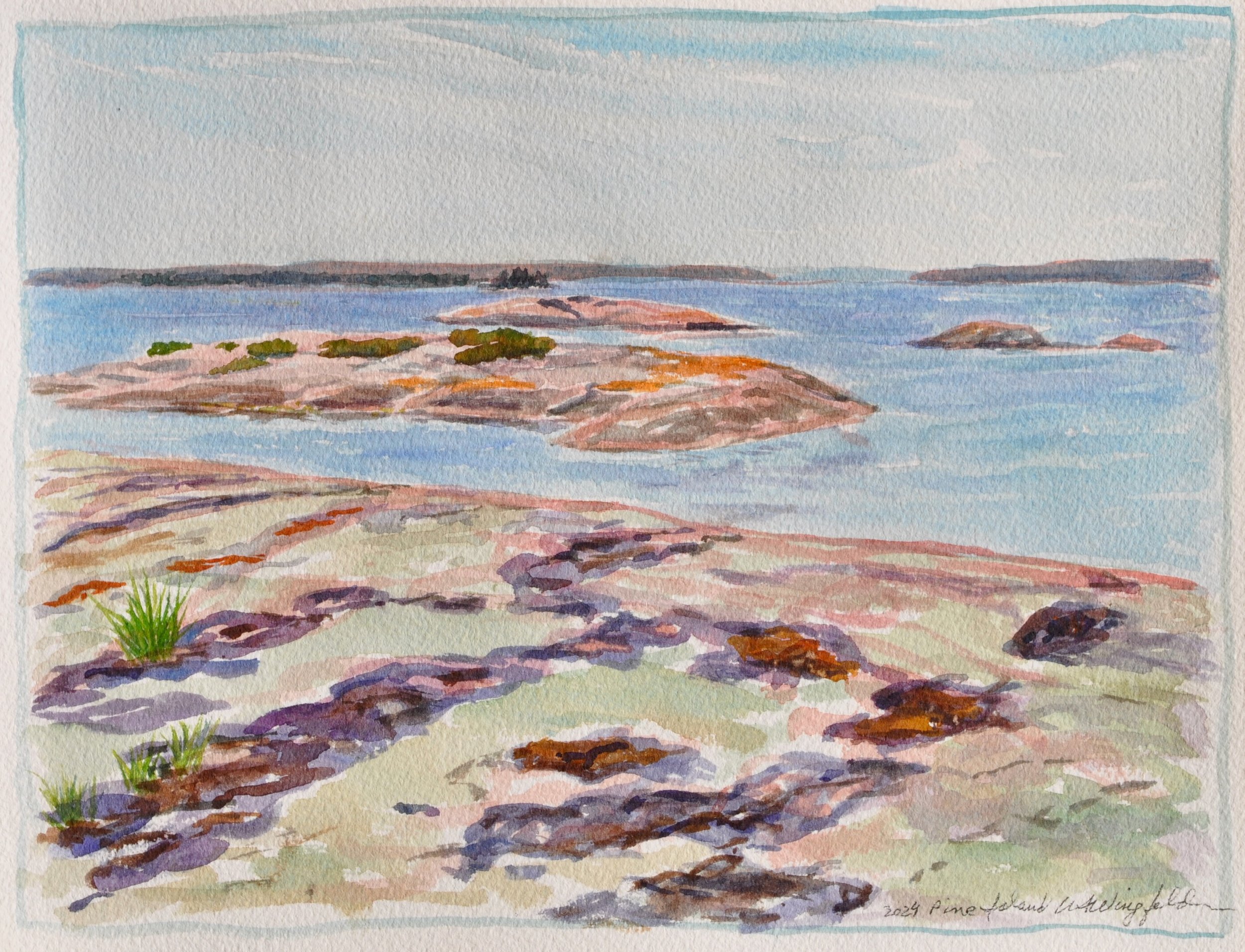South View from Pine Island - available