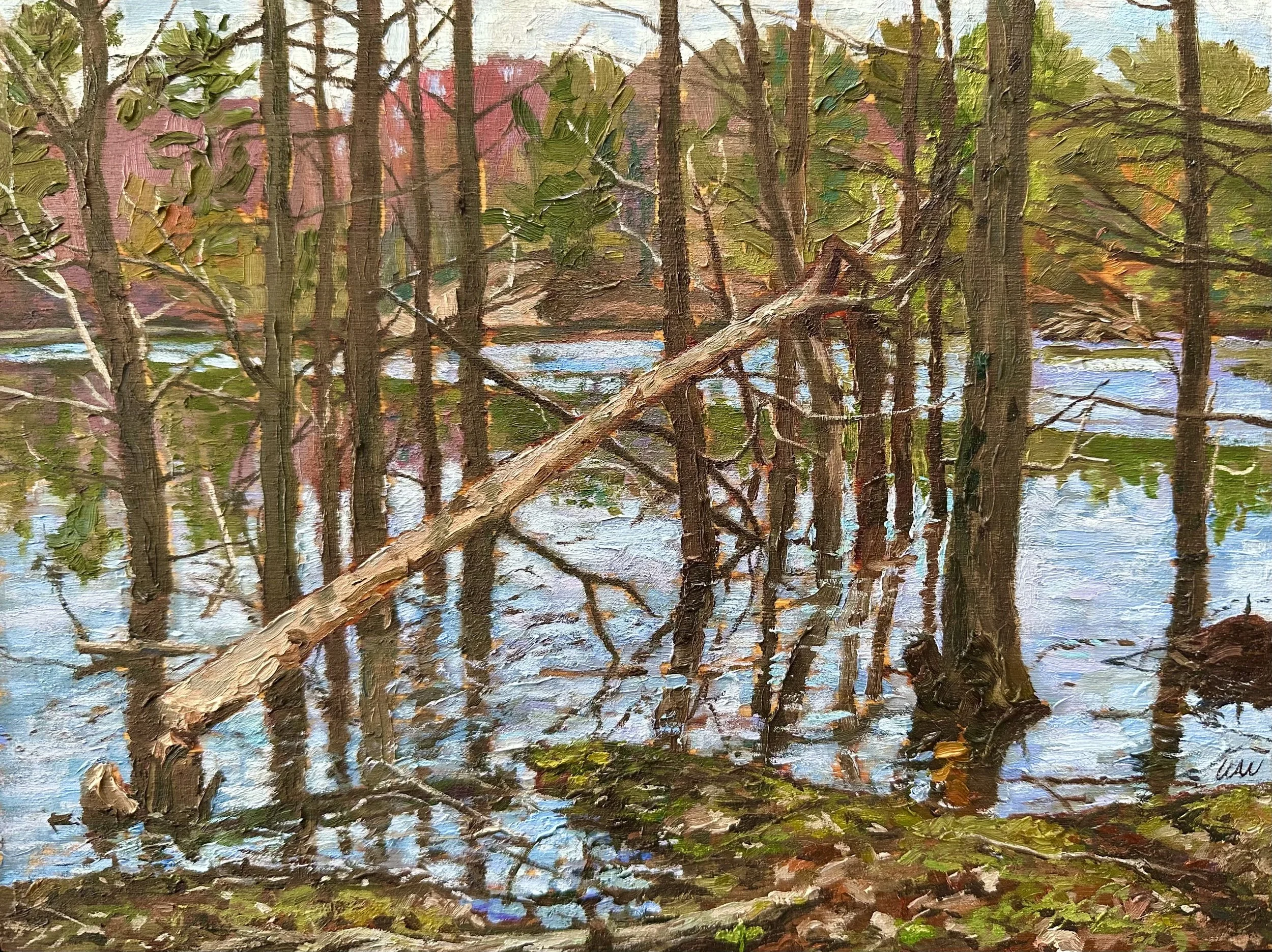 The Beaver Pond in Spring