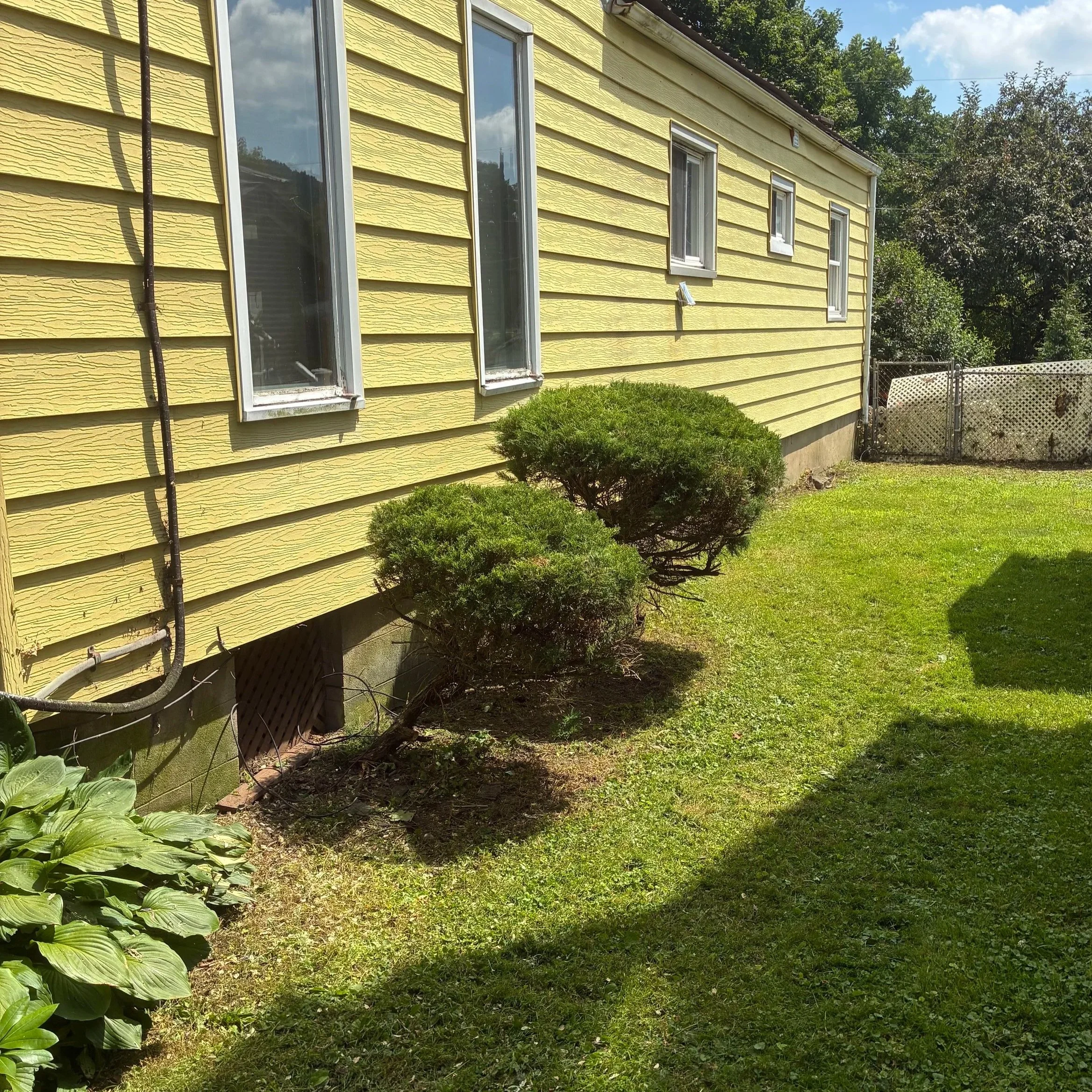 Cleanly mowed grass and freshly trimmed hedges.