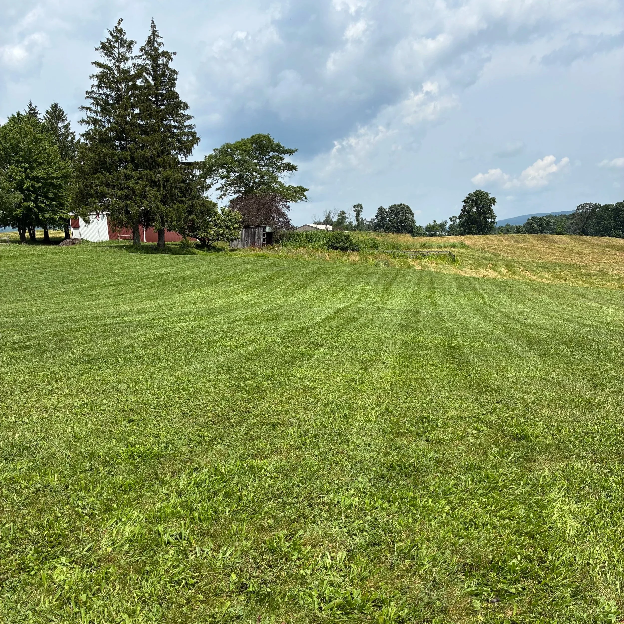 Open grassy field with trees and structures in the background, under a partly cloudy sky.