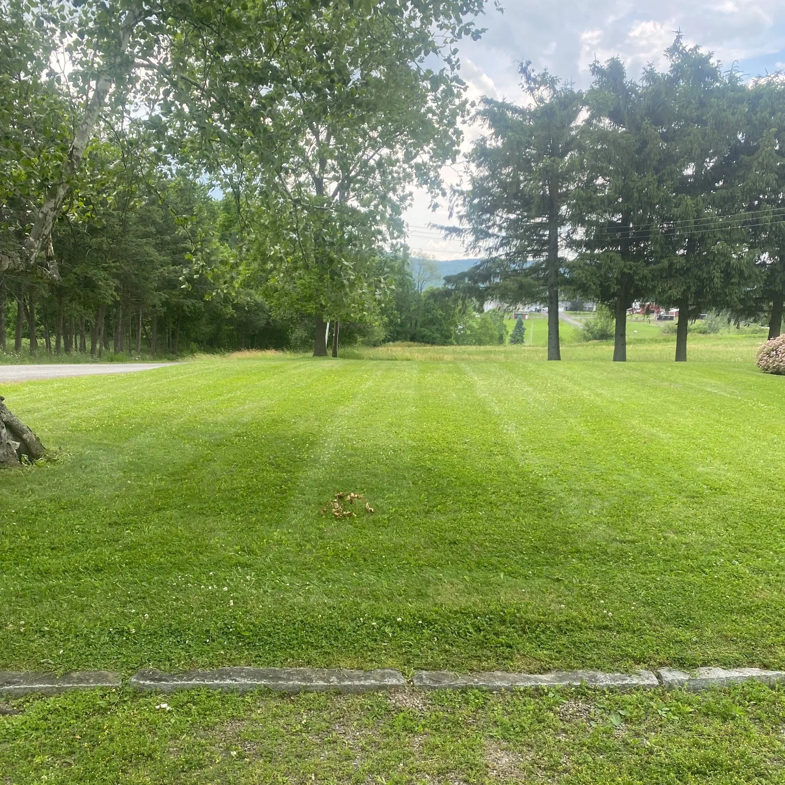 Green grassy lawn with patterns from mowing, trees in the background, and a partly cloudy sky.