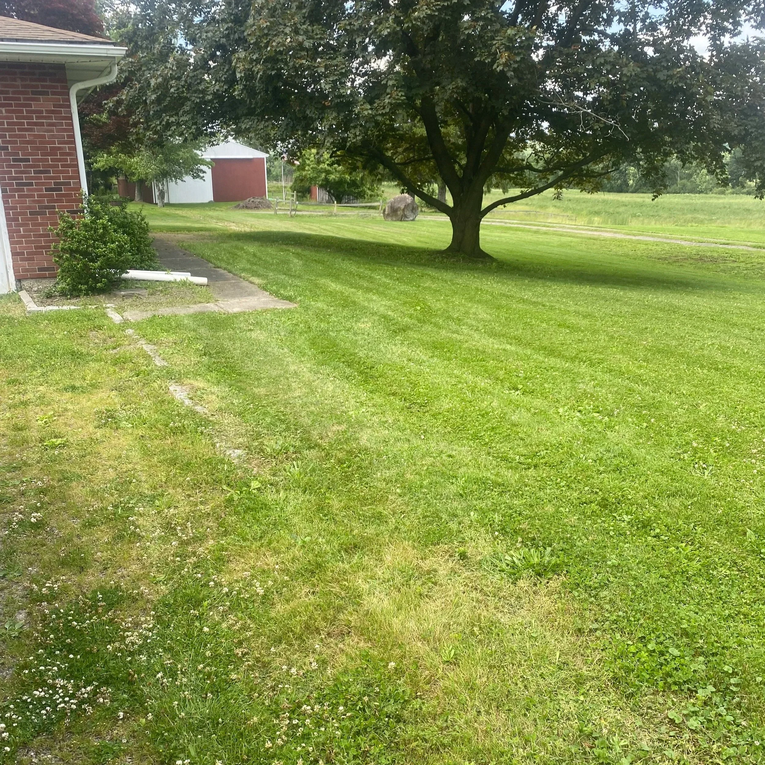 A green lawn next to a brick house with a sidewalk, a large tree, and some buildings and rocks in the background under cloudy skies.