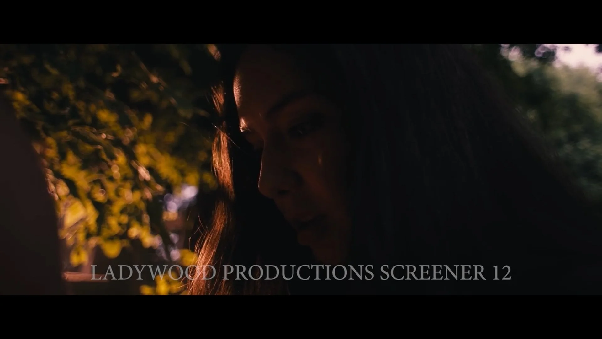 Still 2026-01-27 183307_1.1.21.jpg