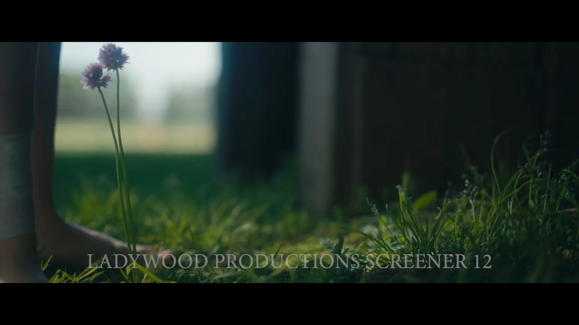 Still 2026-01-27 183407_1.1.4.jpg