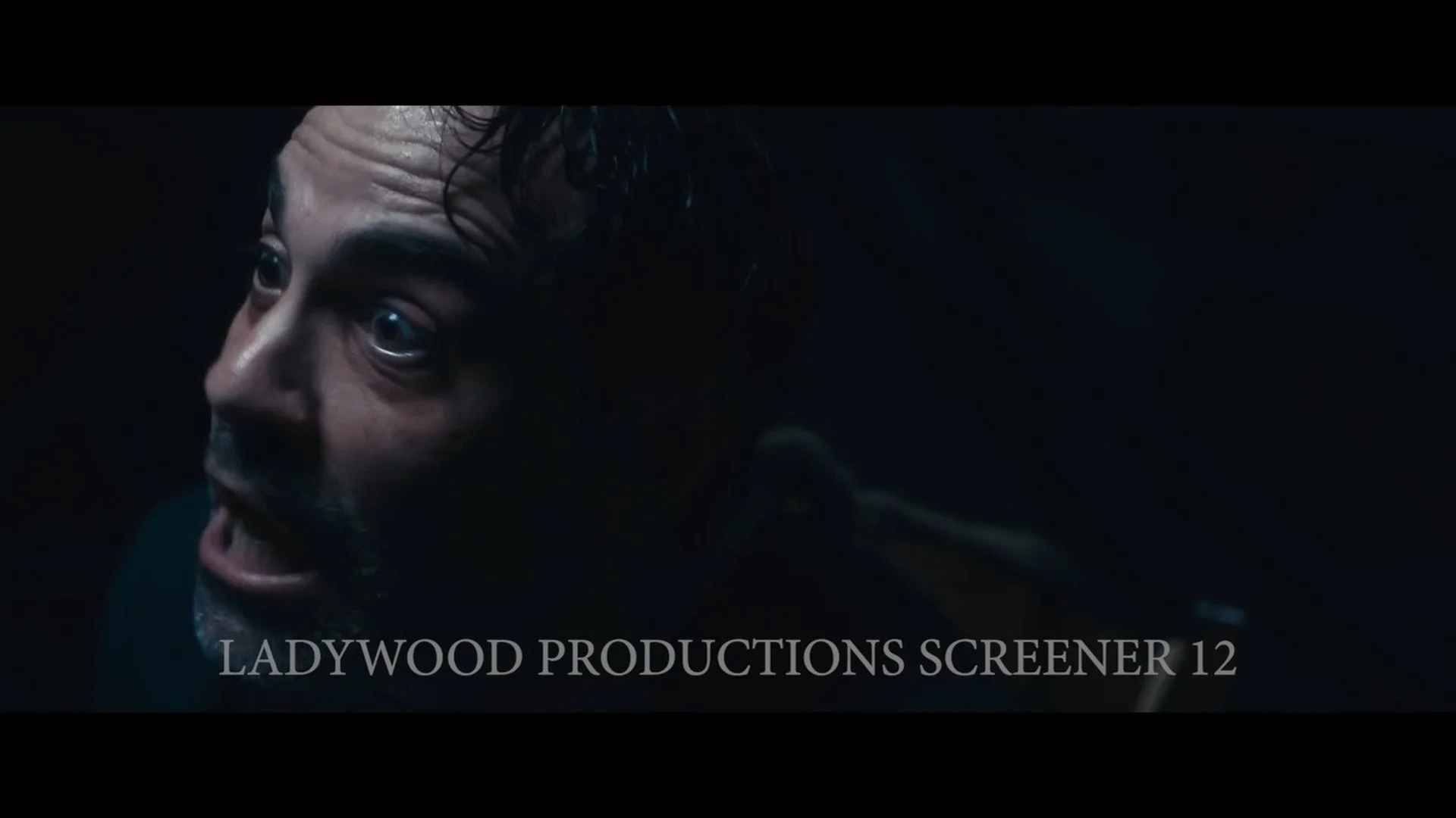 Still 2026-01-27 183307_1.1.12.jpg