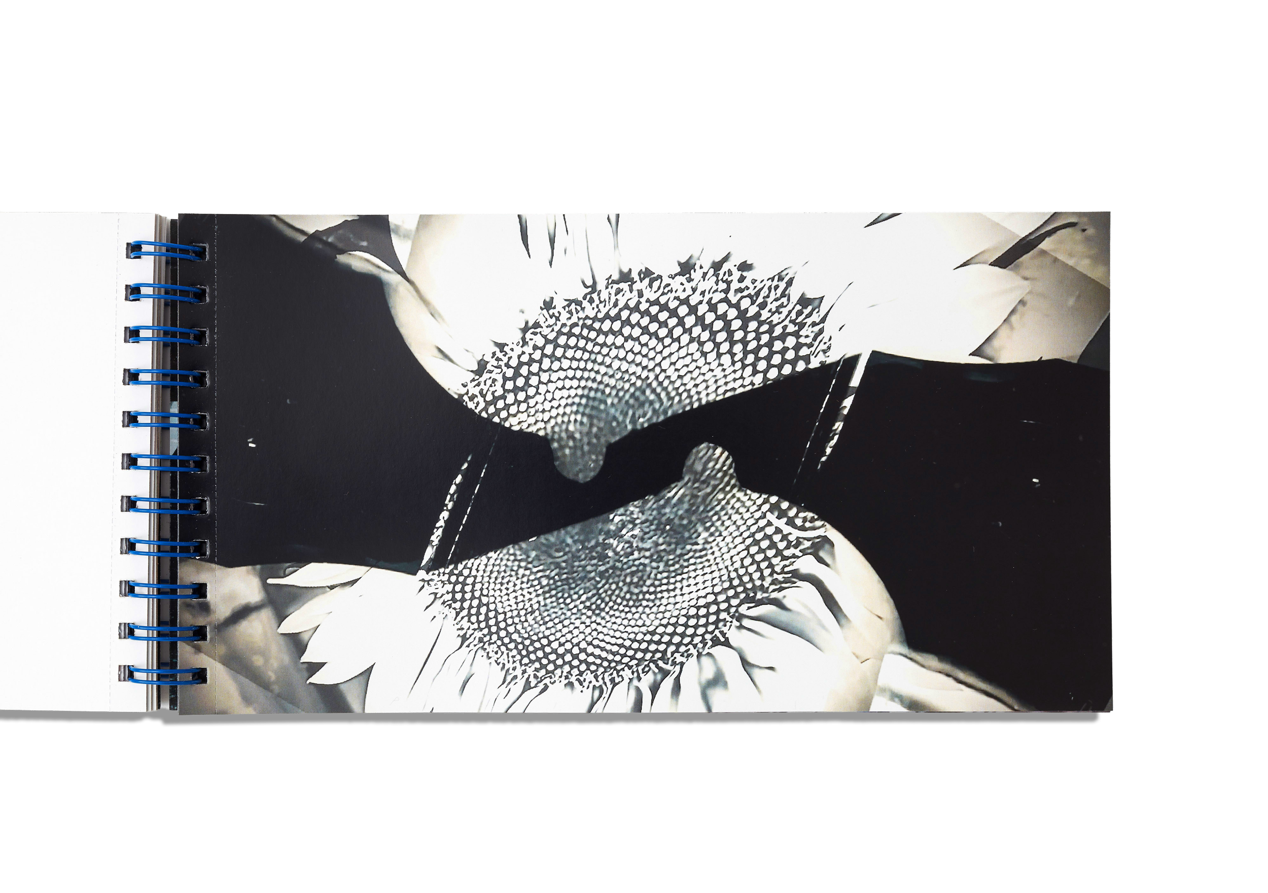 DKB0326_016.png