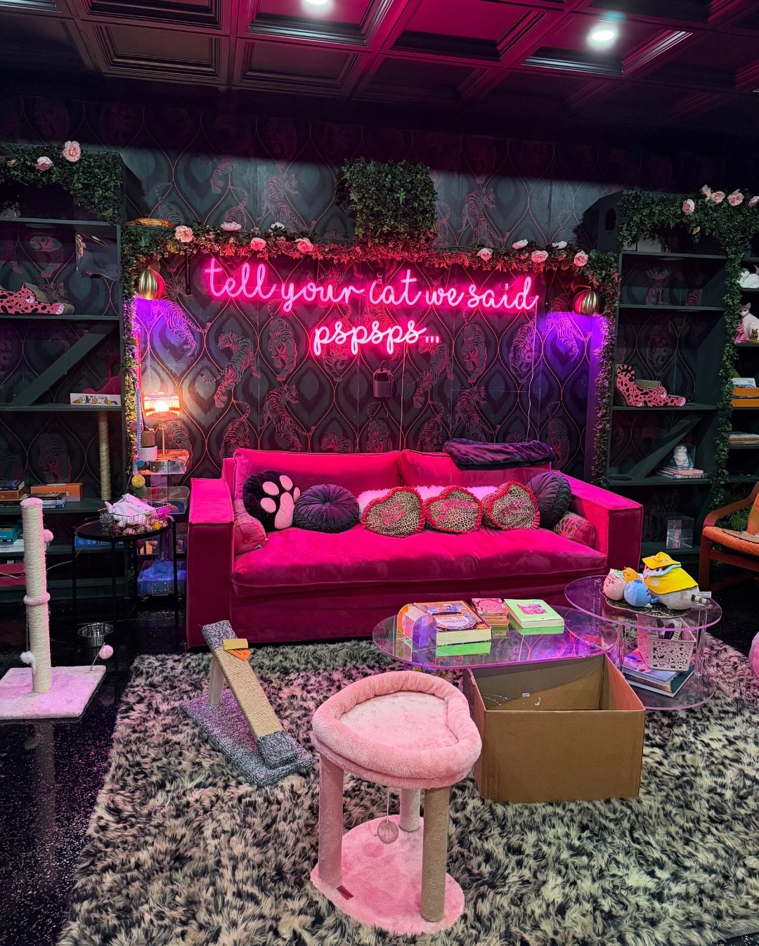 At Meowy Jane, we believe loving cats also means showing up for them beyond our walls. That is why we are proud to partner with @gaskecatfoundation, a nationally recognized 501(c)(3) nonprofit dedicated to helping cats and the people who love them st