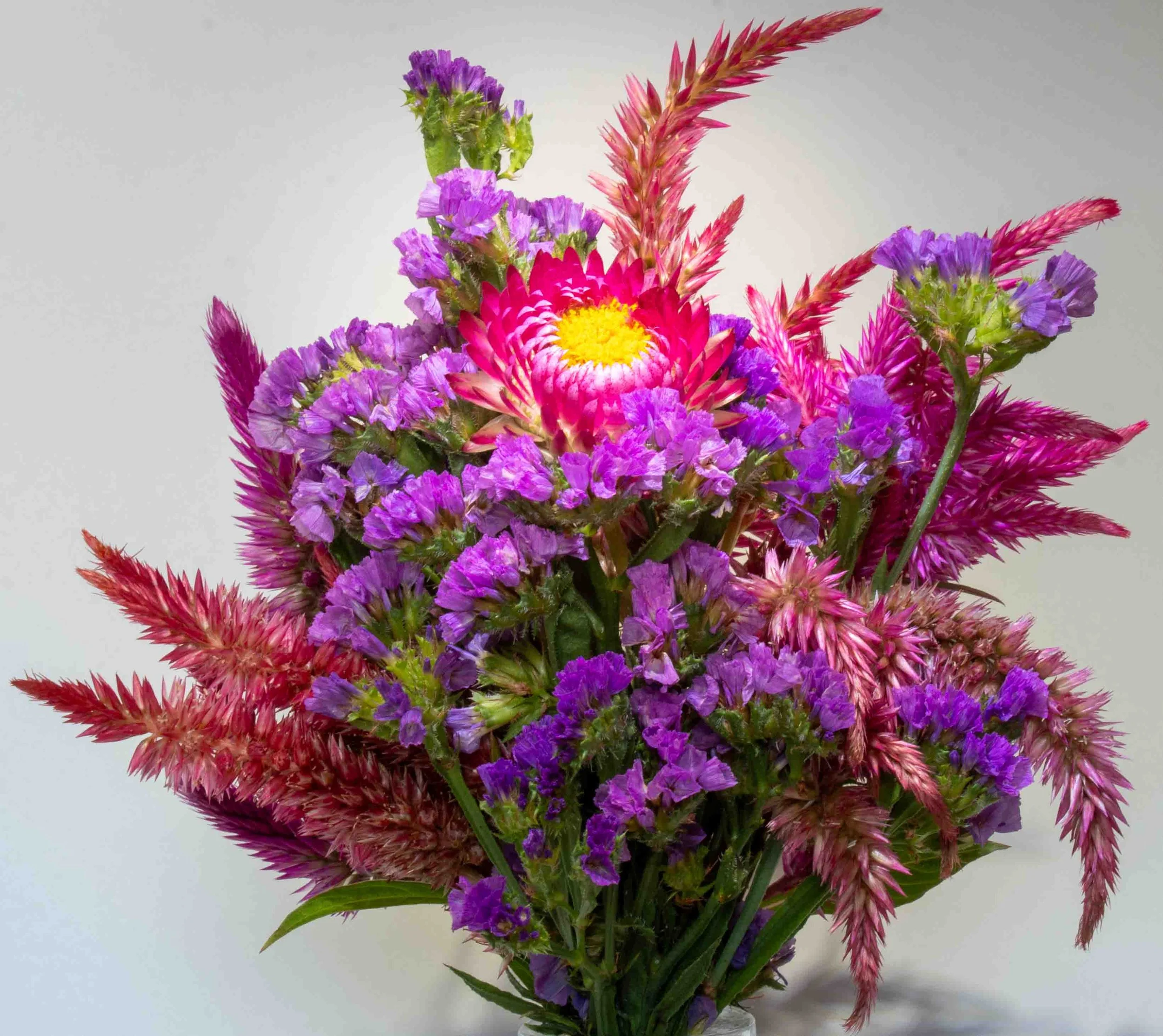 Flowers from Terripin Farm Stand