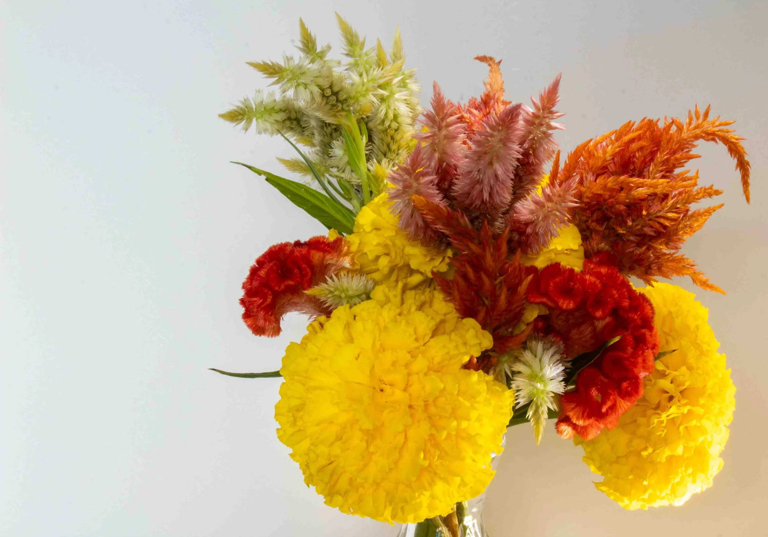 Flowers from Terripin Farm Stand