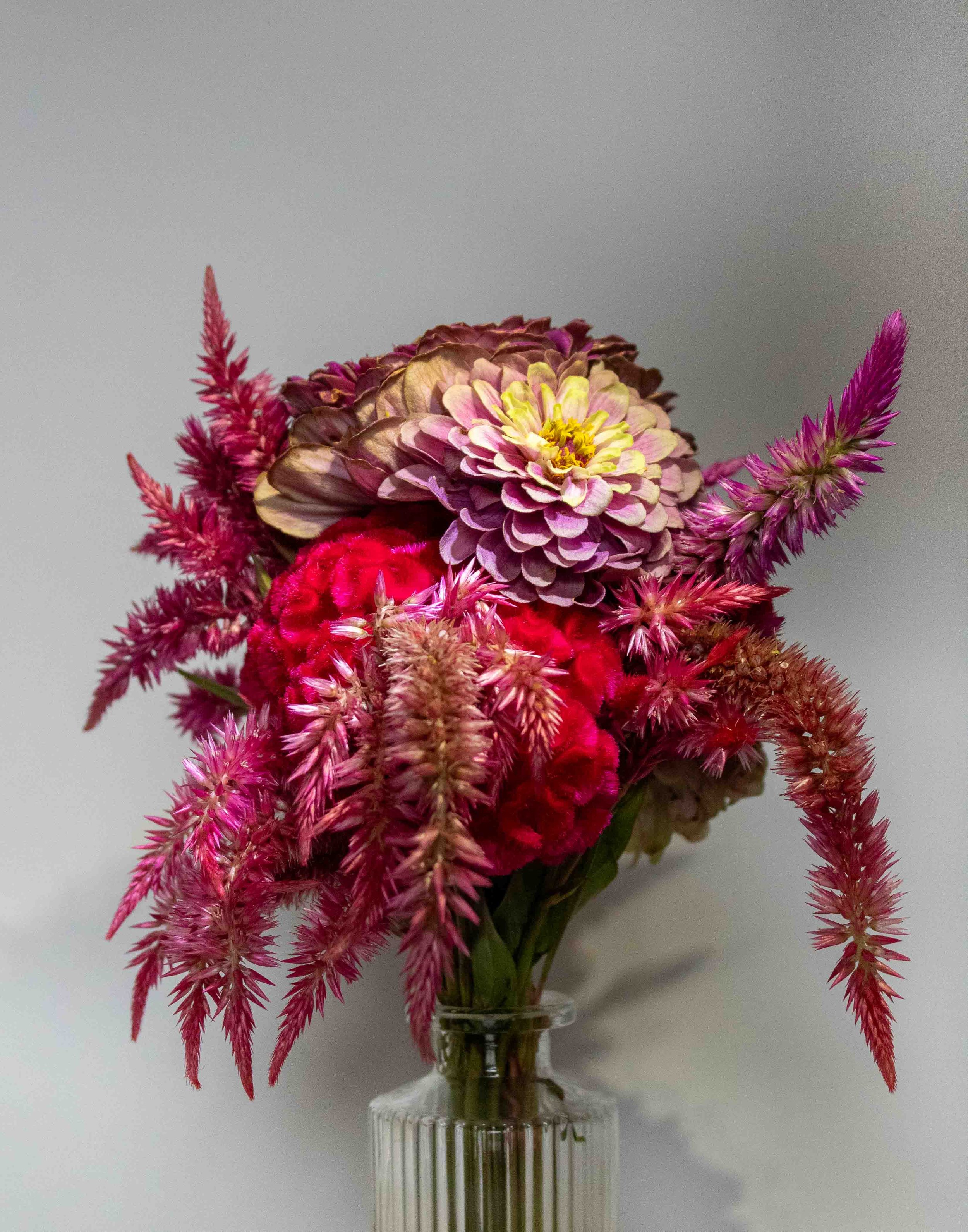Flowers from Terripin Farm Stand