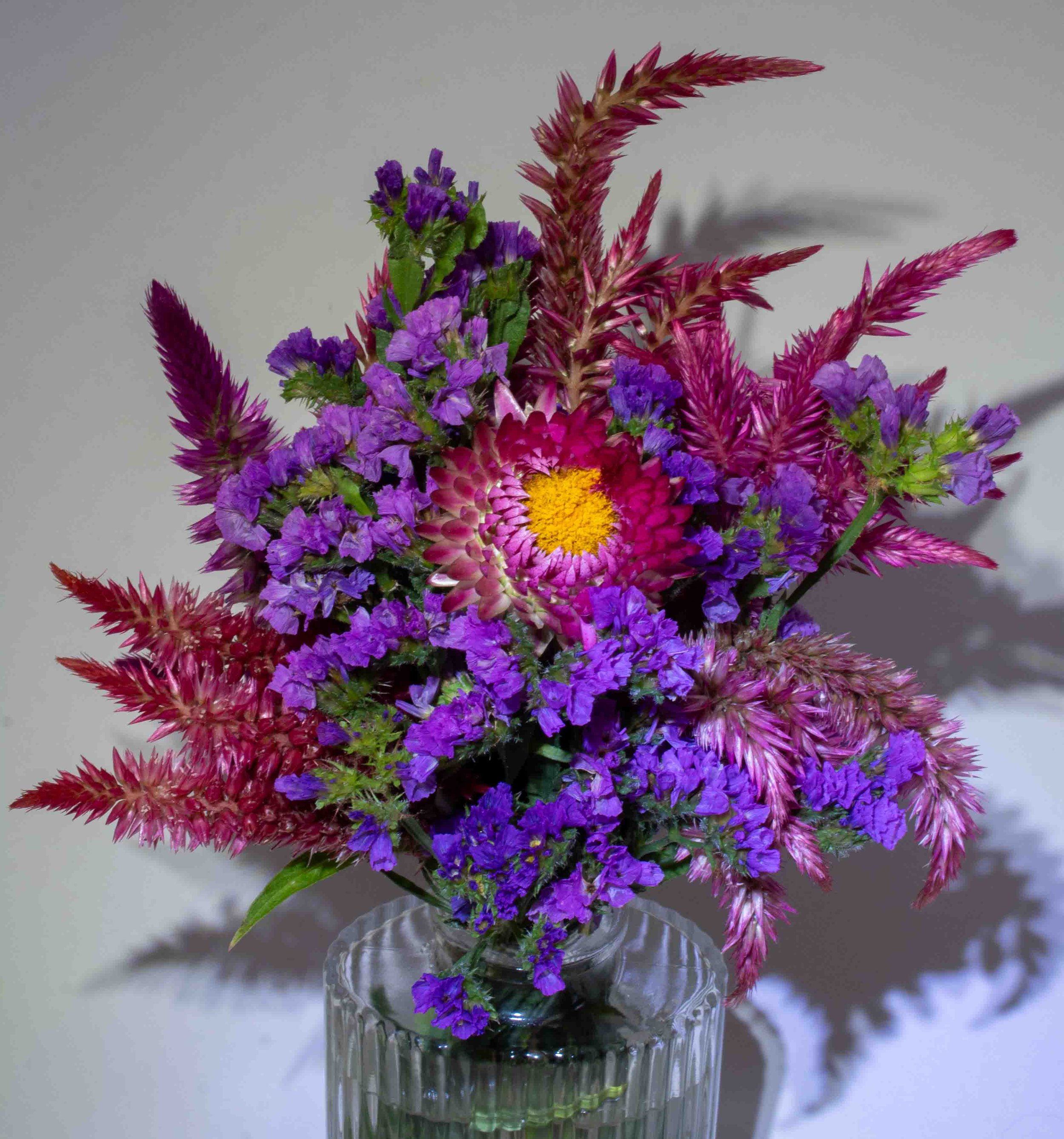 Flowers from Terripin Farm Stand