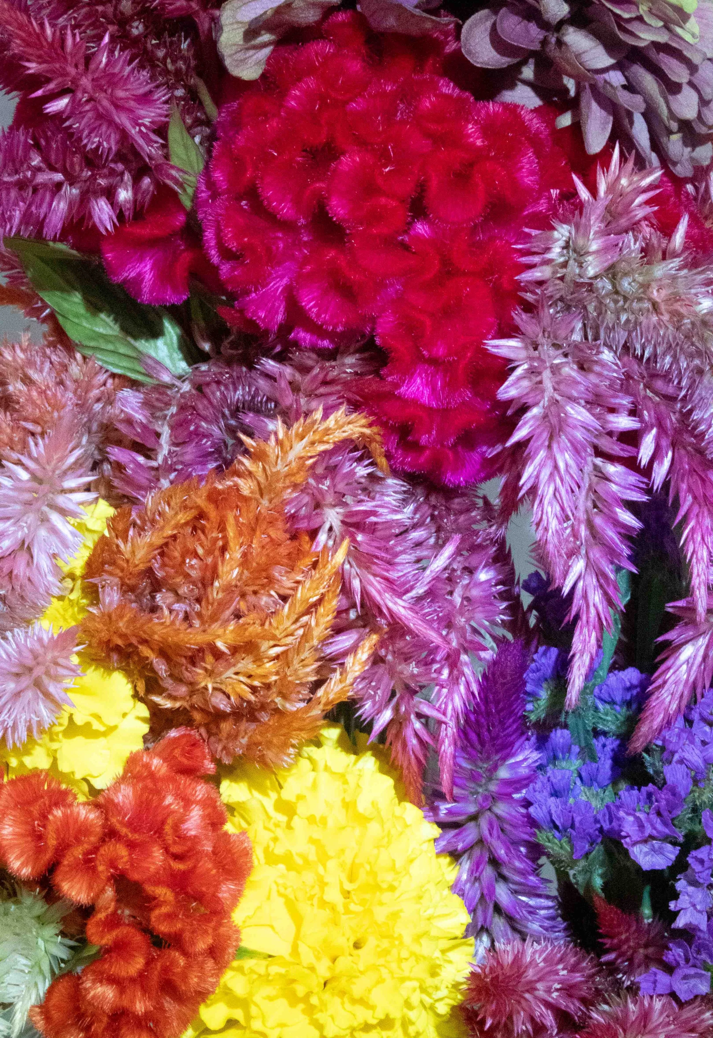 Flowers from Terripin Farm Stand