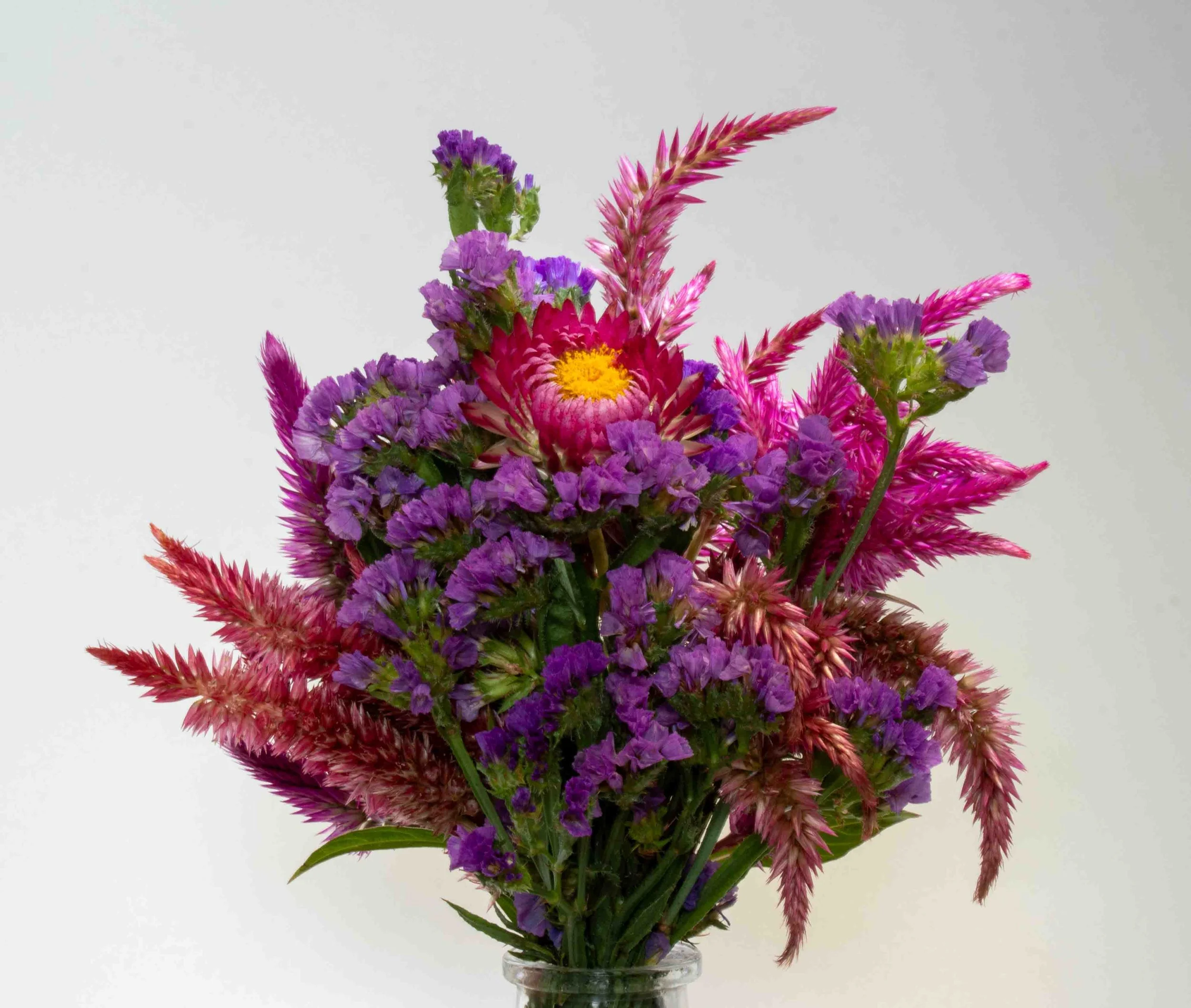 Flowers from Terripin Farm Stand