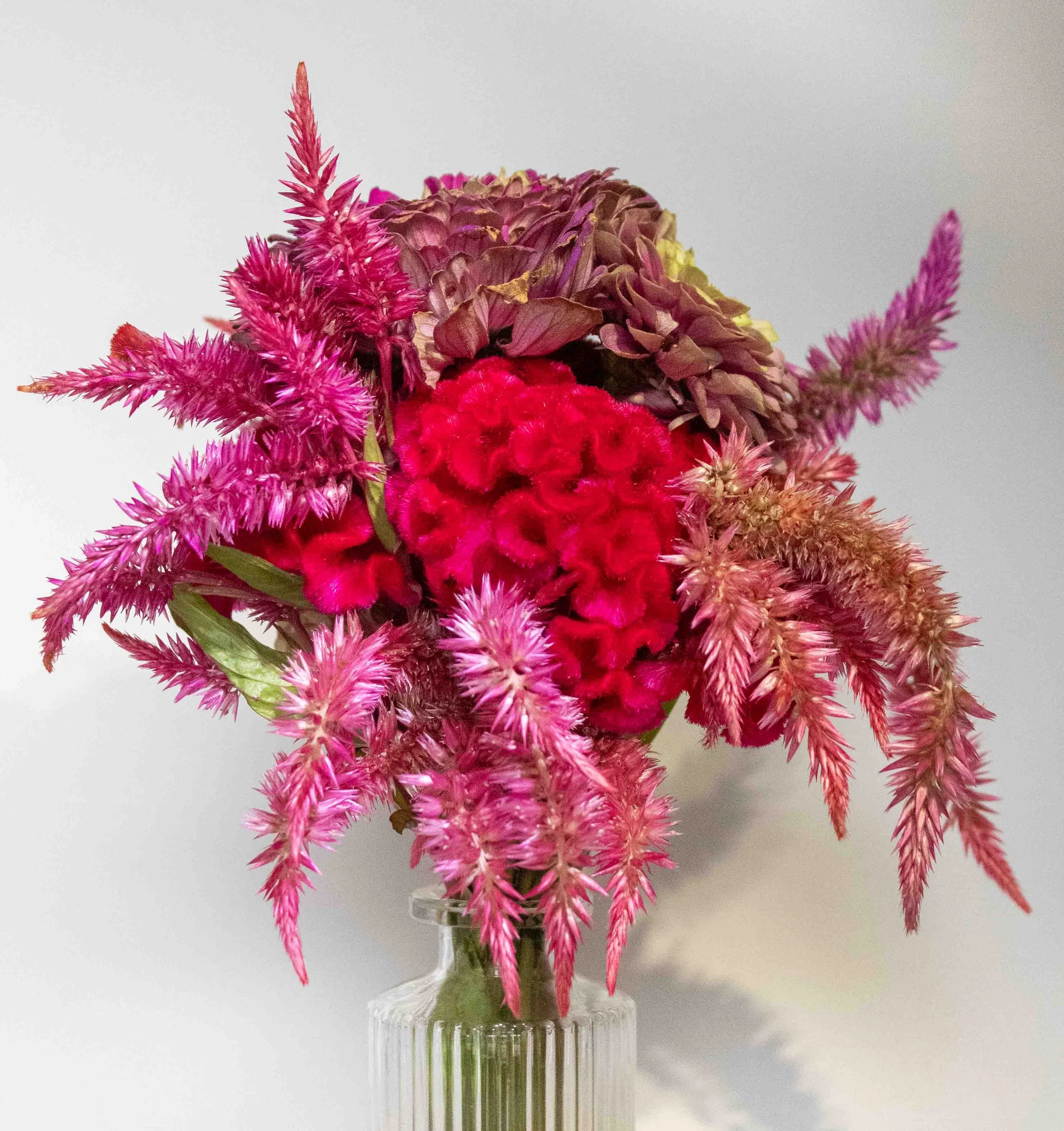 Flowers from Terripin Farm Stand