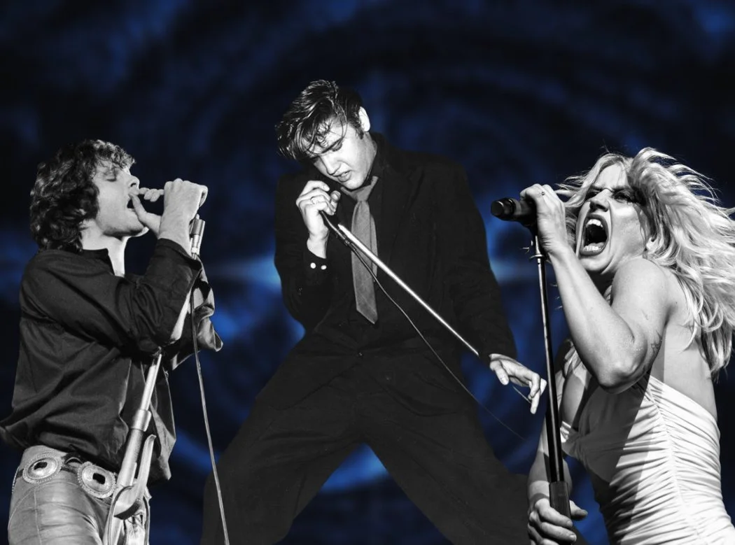 Frontmen (And Women!) For Dummies