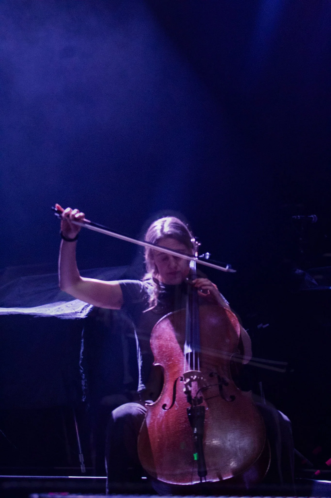 BloodOrange-BMC-DANP (10).jpeg