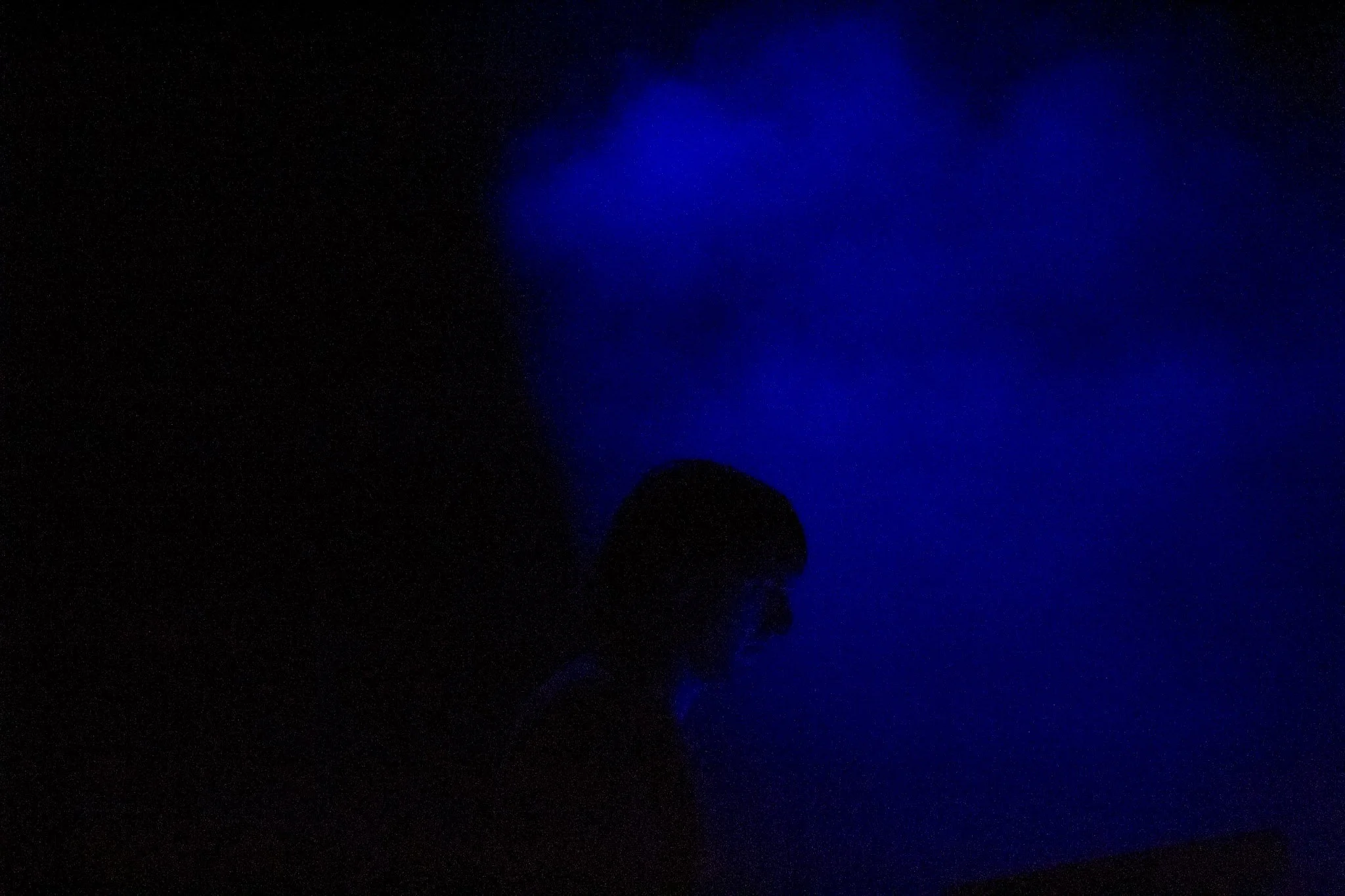 BloodOrange-BMC-DANP (3).jpg