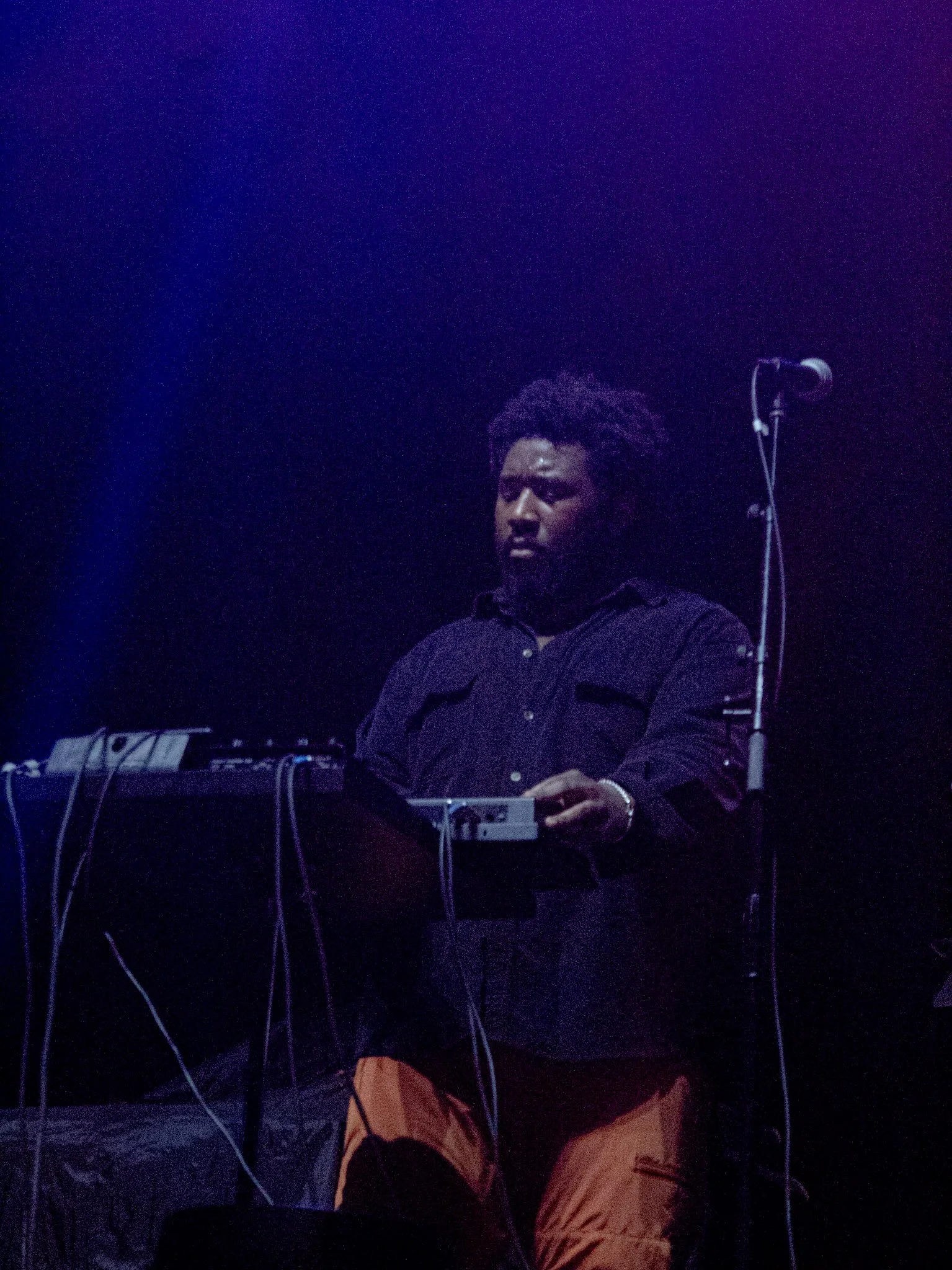 BloodOrange-BMC-DANP (1).jpg